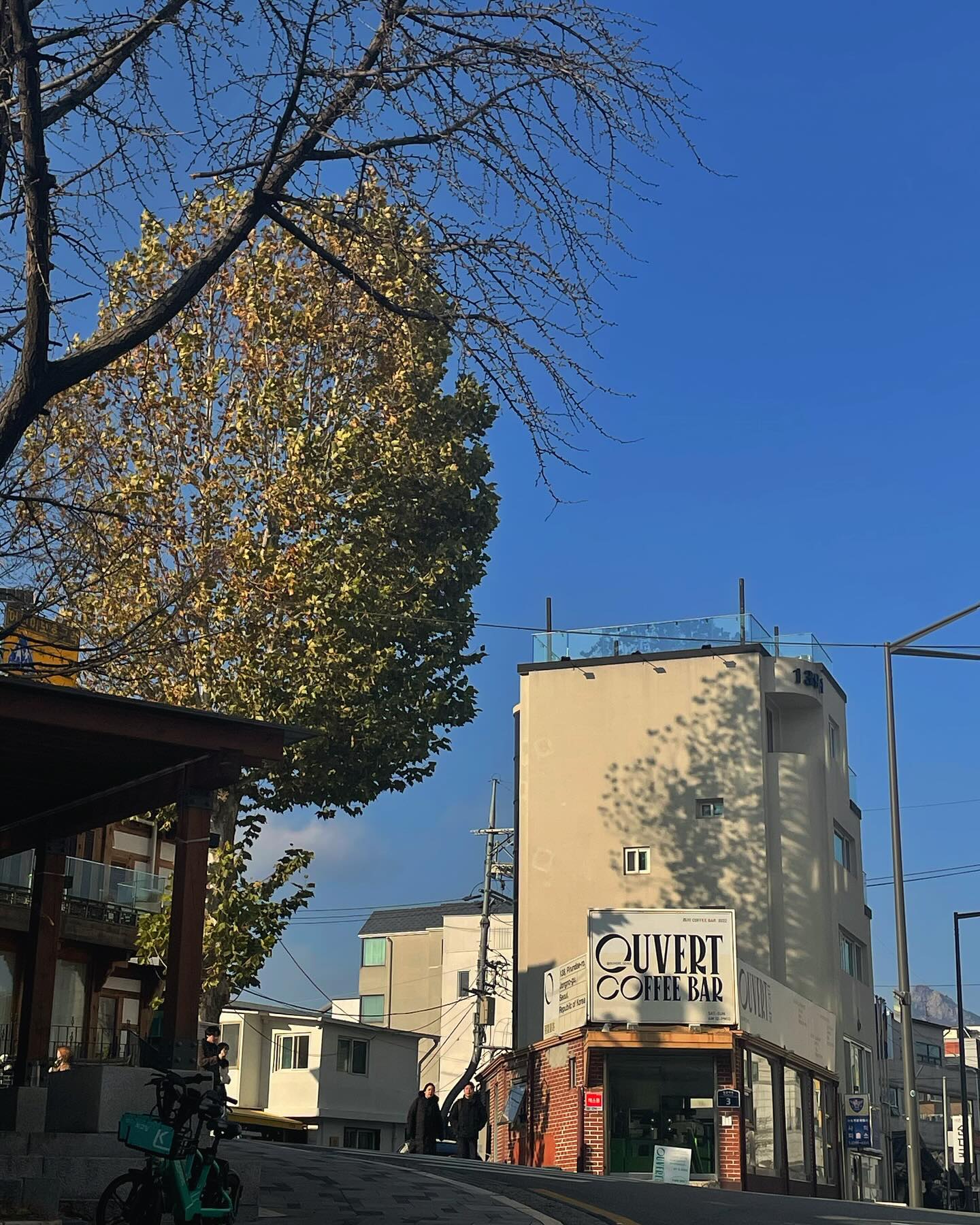 신이 났네요.