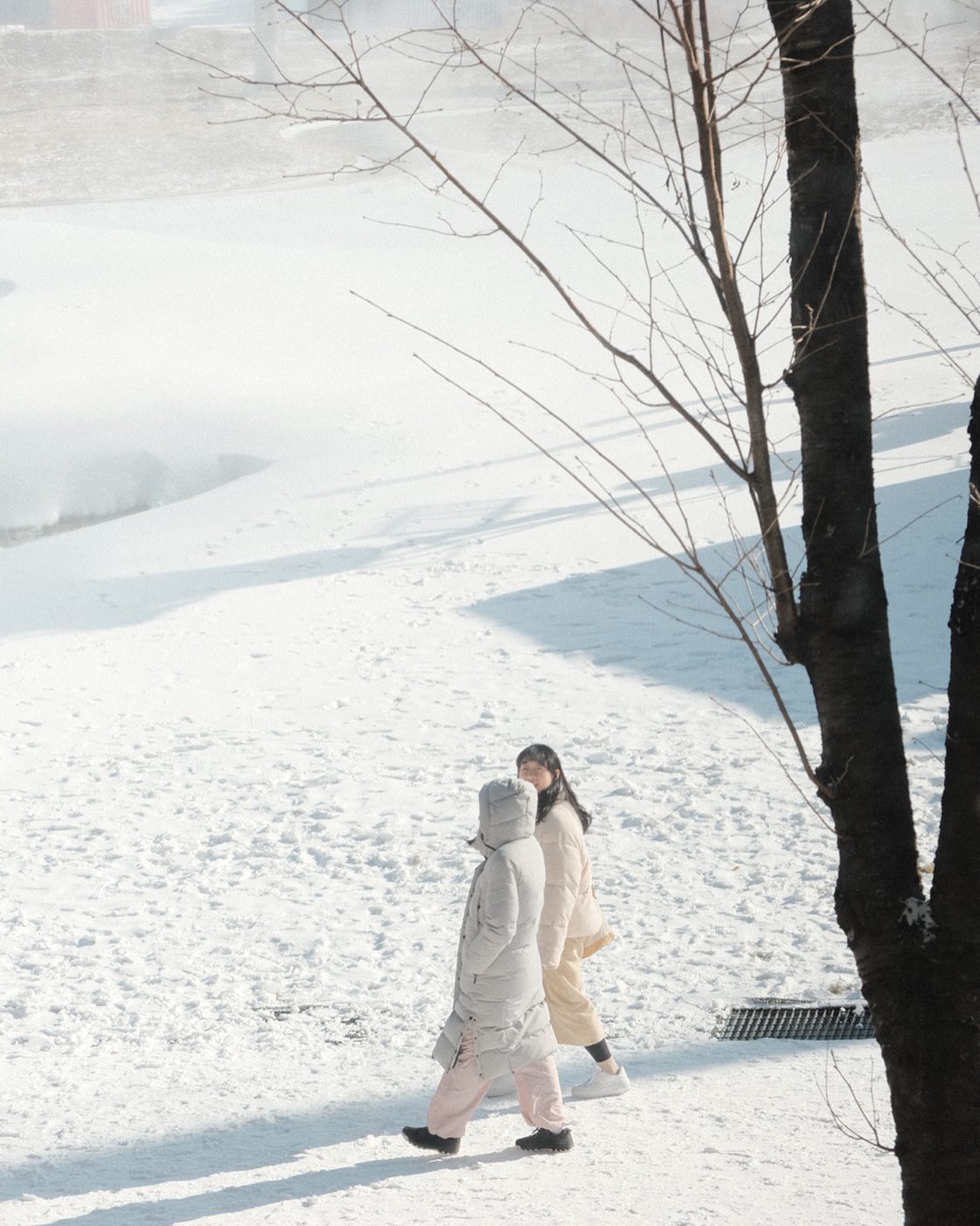 평창은 벌써 겨울☃️