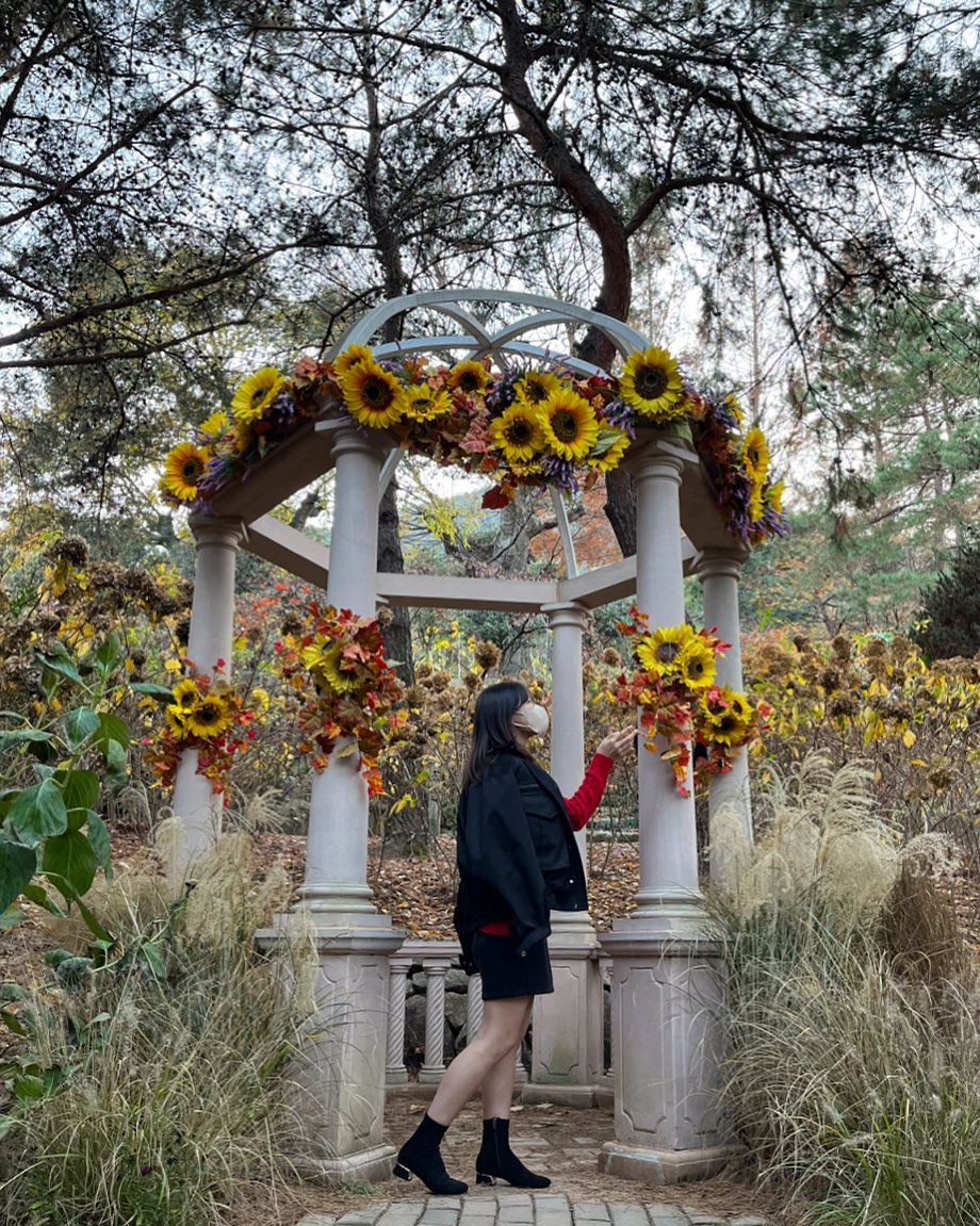 🌻