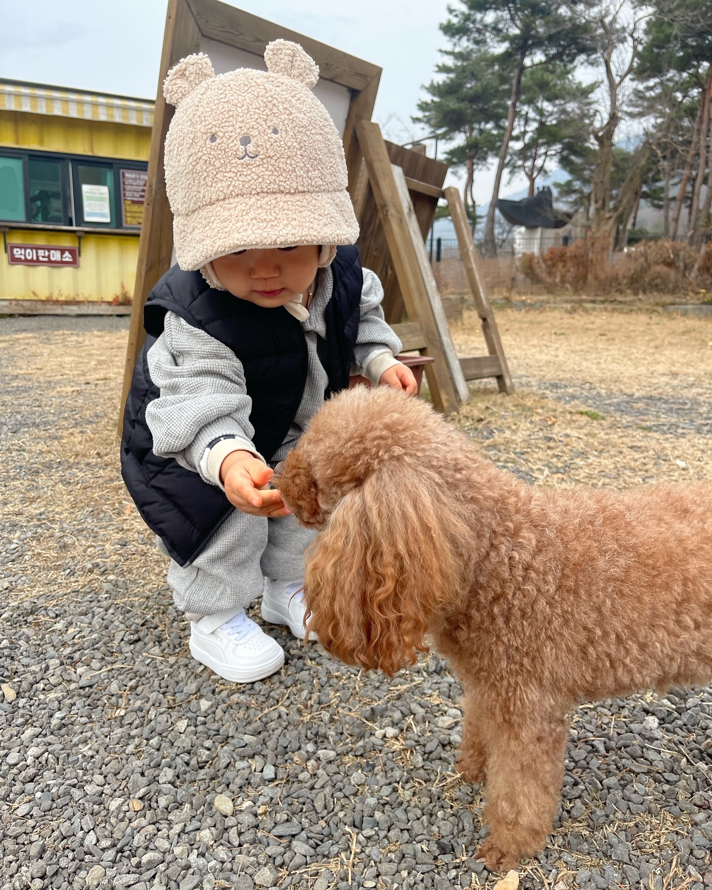 🐯_D+610
 
그냥 사랑🤎

저 살짝 보이는 볼따구 넘 사랑🤎