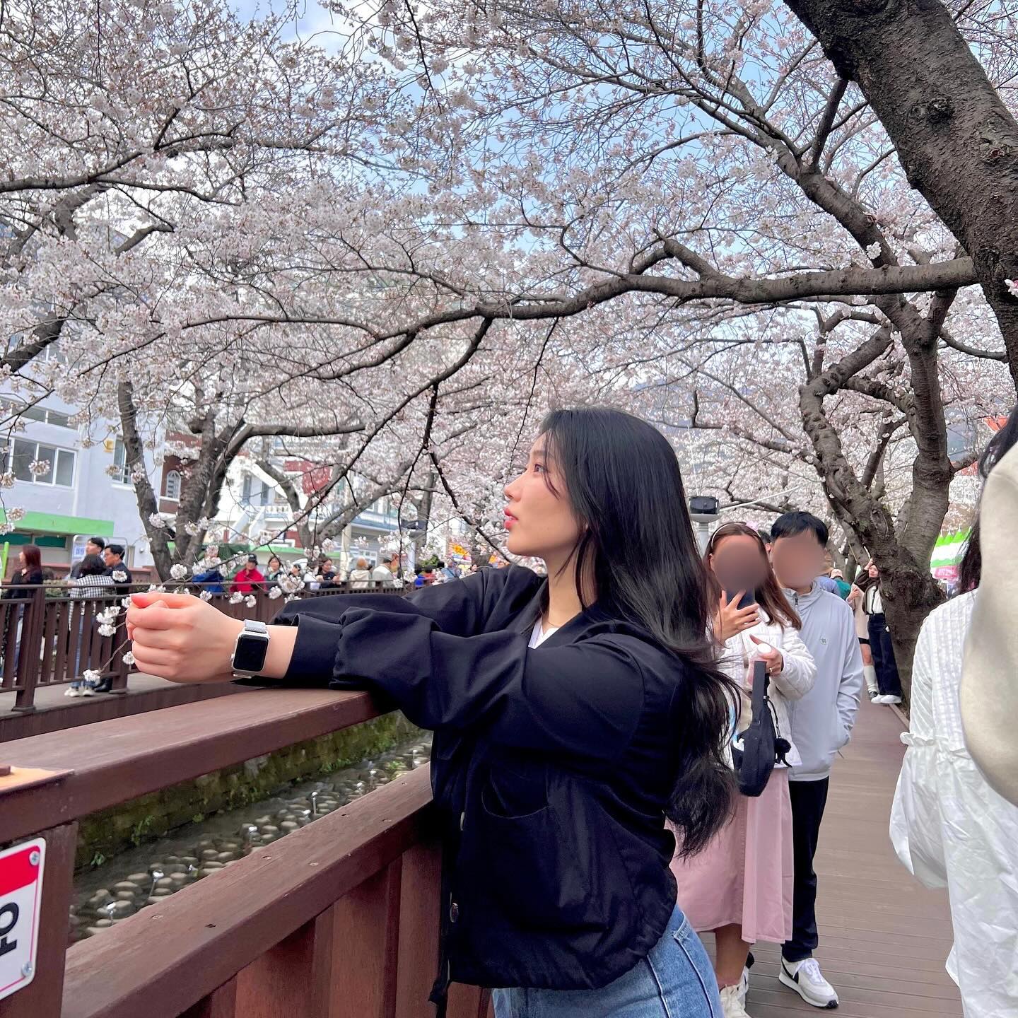 桜🌸