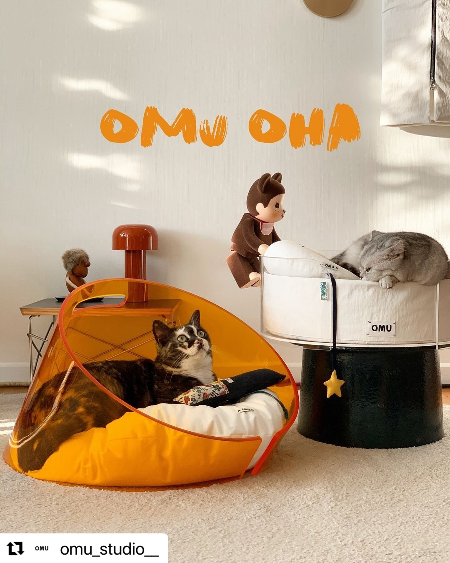 #Repost omu_studio__ with use.repost
아이들 가구가 언제부터 이렇게 
예쁠 수가 있었는지 모르겠네요 !!✨
아이에게 다양한 즐거움을 주고싶은 마음에
중구난방 다른 아이들이 좋아한다는 건
다 쌓아두곤 했는데, 꾸미는 걸 좋아하는 
집사의 삶을 잊고있었나봐요🥺
보자마자 아! 나도 이런 감성으로 
살고싶었는데 했답니다...🫶🏻☁️

흔들림 없이 편안한 고양이계의 시몬스
아비에게 그리고 아비 집사에게도 선물하고싶어요!

새롭게 선보이는 댕냥이하우스 #오무오하 

곧 프리오더로 출시될 예정인 하우스는 입구 전면 원형의 라인과 바닥면은 넉넉한 오벌형태로 내부의 방석 또한 오벌형태로 제작됩니다. 

살짝 기울어진 측면이 안락함을 느끼게 해주며 두께감 있는 아크릴을 사용하여 흔들림 없고 청결하게 관리하실 수 있습니다. 

상급의 아크릴을 사용하며 레이저컷팅된 절단면을 전문가분께서 세심하게 수작업으로 폴리싱하여 부드럽고 매끈하게 마무리 됩니다. 

손잡이가 있어 이동이 편리하며 투명한 아크릴 안으로 쉬고있는 아이들 모습을 360도 어느 위치에서나 보실 수 있습니다❤️

리그램시 #오무오하 를 보시고 느끼신 점 등등 간략하게 적어주세요

덧글에 리그램 알려주시고 추천도 많이 많이 해주세요😉

두 분께 아크릴제작 하우스를 드립니다. 

1명 #오무오하
1명 #오무빵쿠 

오무오하는 바닥이 없이 오벌방석으로 사용합니다. 
오무빵쿠는 아크릴 바닥이 있고 그 위에 방석을 올려서 사용합니다. 

두 제품 모두 오무집사가 강추하는 제품으로 많은 참여 바랍니다

항상 애정해주시고 응원해 주시는 덕분에 계속 좋은 제품을 소개해 드릴 수 있어서 진심으로 감사합니다🫶🏻🙏🏻

#프리오더예정 
#강아지하우스#고양이하우스