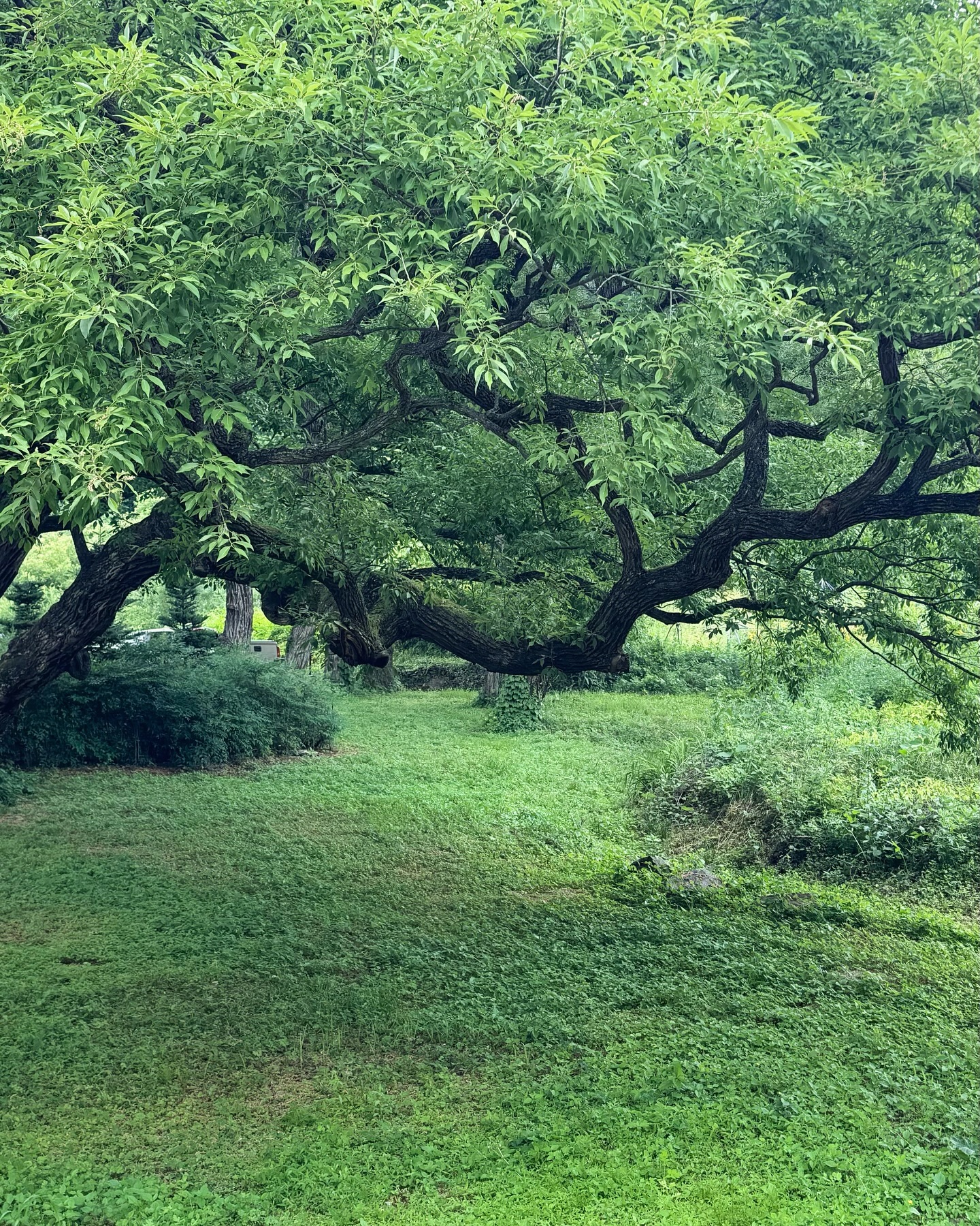 나의 자연특별시, 무주일기 ! 🍃