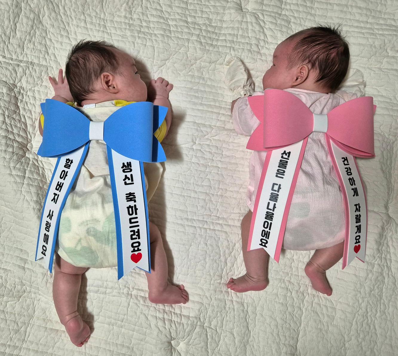너희로 가득했던 내 6월의 사진정리📸
작게 나와 크게 커주고 있는
나의 슈퍼자이언트베이비들❤️💚
#사진정리