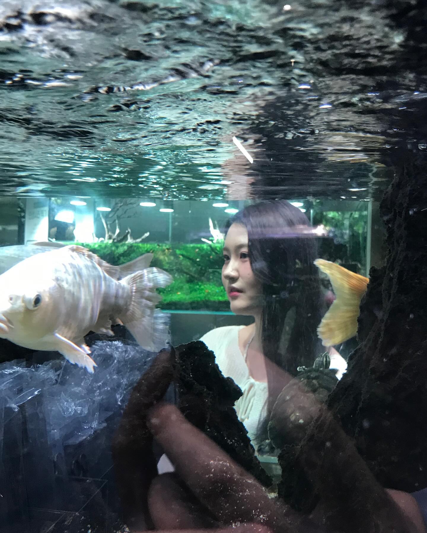 🐠🐟🐡