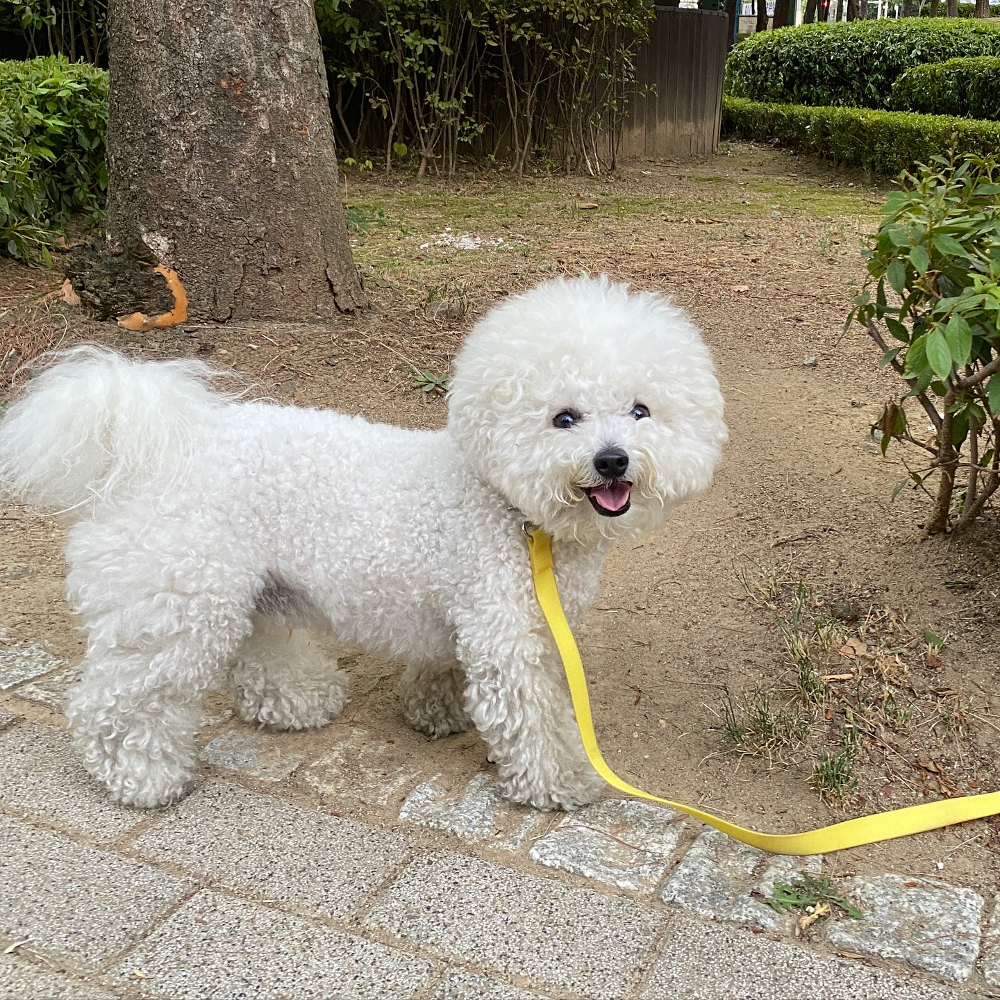 요즘 왜이리 더운지 모르겠당 증말🤦🏻‍♀️