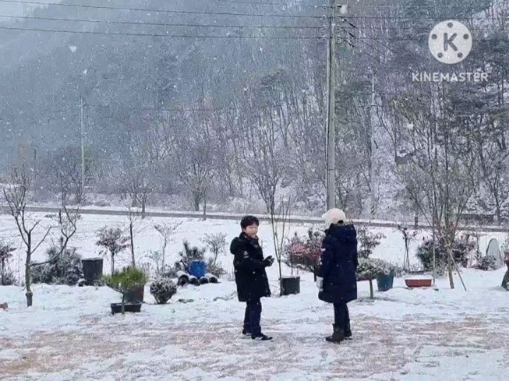 #협찬 #도서를제공받았습니다 

대구에 살고 있는 새별이네.
새별이가 태어나서 10살이 될때까지 
눈이 펑펑 내린 기억을 손에 꼽을 정도로
눈이 잘 내리지 않는 지역이다. 

눈이고픈 울 새별이를 위해.. 
이번 크리스마스 연휴동안 
충남 금산에 있는 외갓집으로 고고고~
새별이의 간절함 덕분인지... 
24일, 25일 이틀동안 눈이 정말 펑펑
내렸고~ 온종일 눈놀이 하며 원없이 놀았다.

이런 소중한 경험? 추억? 뒤에는 
배움도 있어야 하는법  ㅋ 
과학뒤집기 계절책 읽으며
계절의 변화에 대해 배워보는 시간까지! 
새학년에 올라가면 과학이 더 재미있어
질 것 같다. 

#과학뒤집기 #초등과학 #뒤집기시리즈
#초등전집 #과학전집