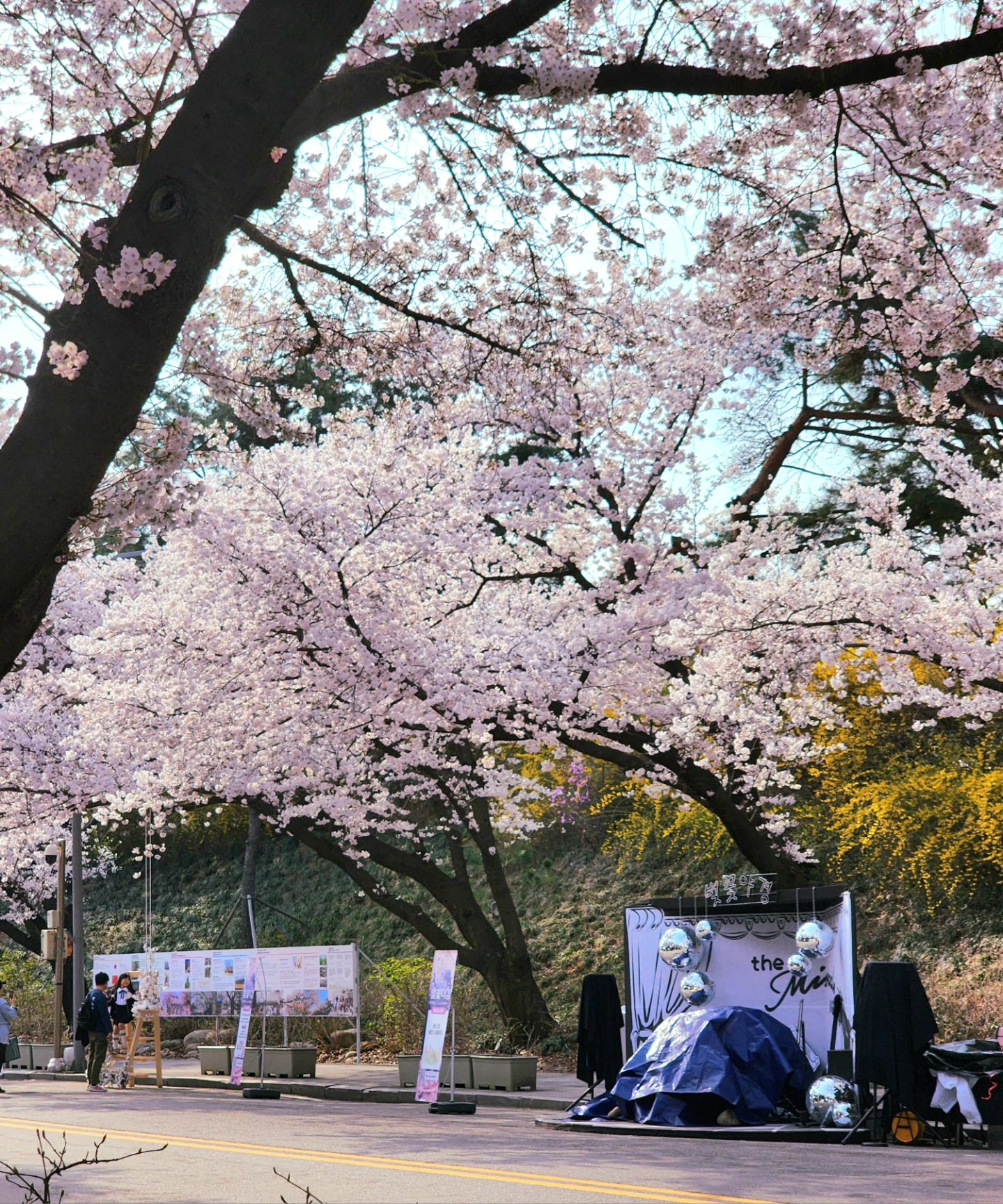 렛츠런파크 서울

벚꽃명소답네~^^

일찍가서 자리잡고~~ 포토존 찍으면 시간 금방간다~

푸드트럭 11시오픈이래서ㅜㅜ 기다리느냐고 힘들었네ㅠㅠ
근데... 기다린만큼 맛있었다ㅎㅎㅎ

말들이!! 세상 멋지다ㅎㅎㅎ 

정신없이 사진찍고~ 먹고~~~ 말들 구경하고 사람구경하고 귀가~

#렛츠런파크서울
#벚꽃구경