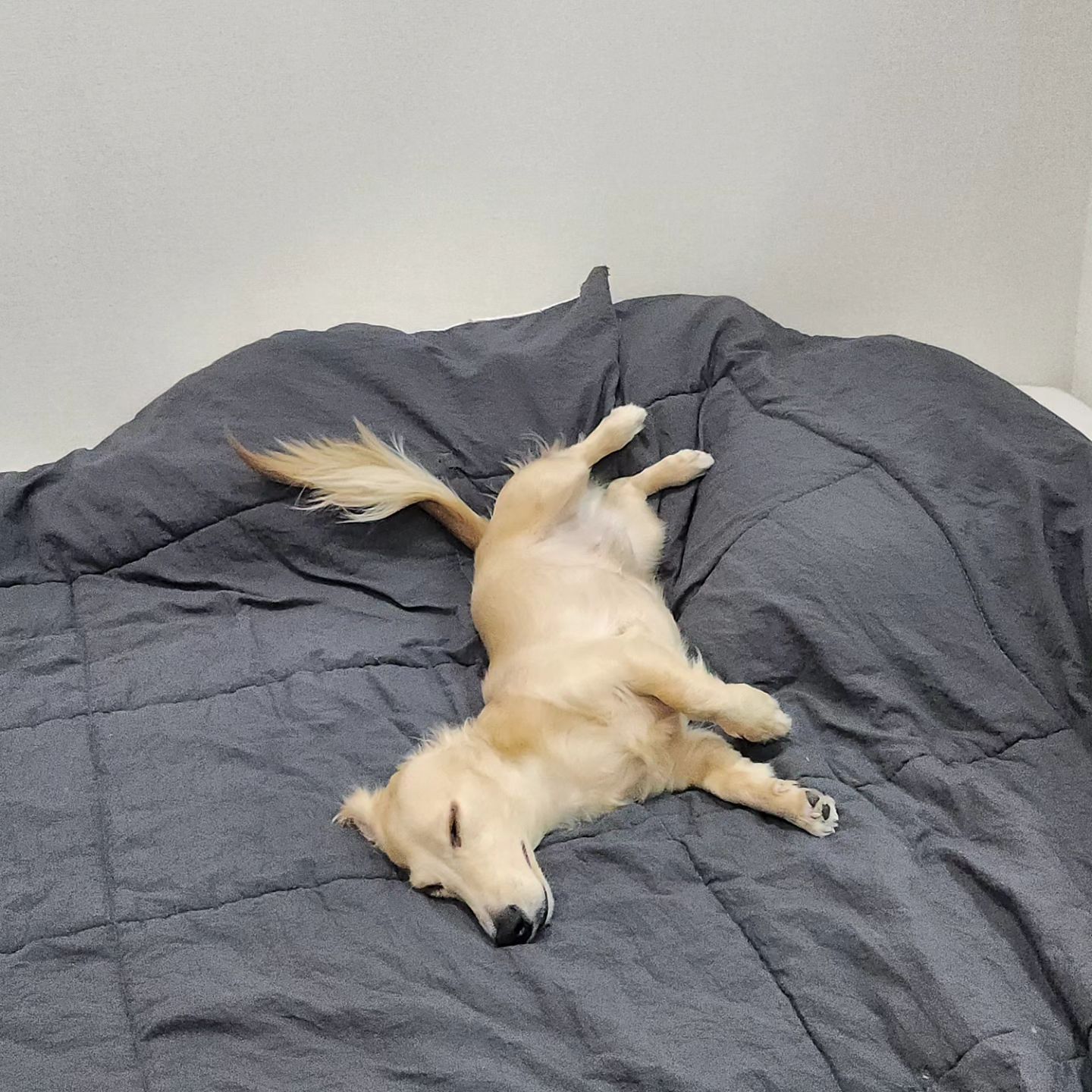 세상 늘어져 자기 선수 유튜브 🌛