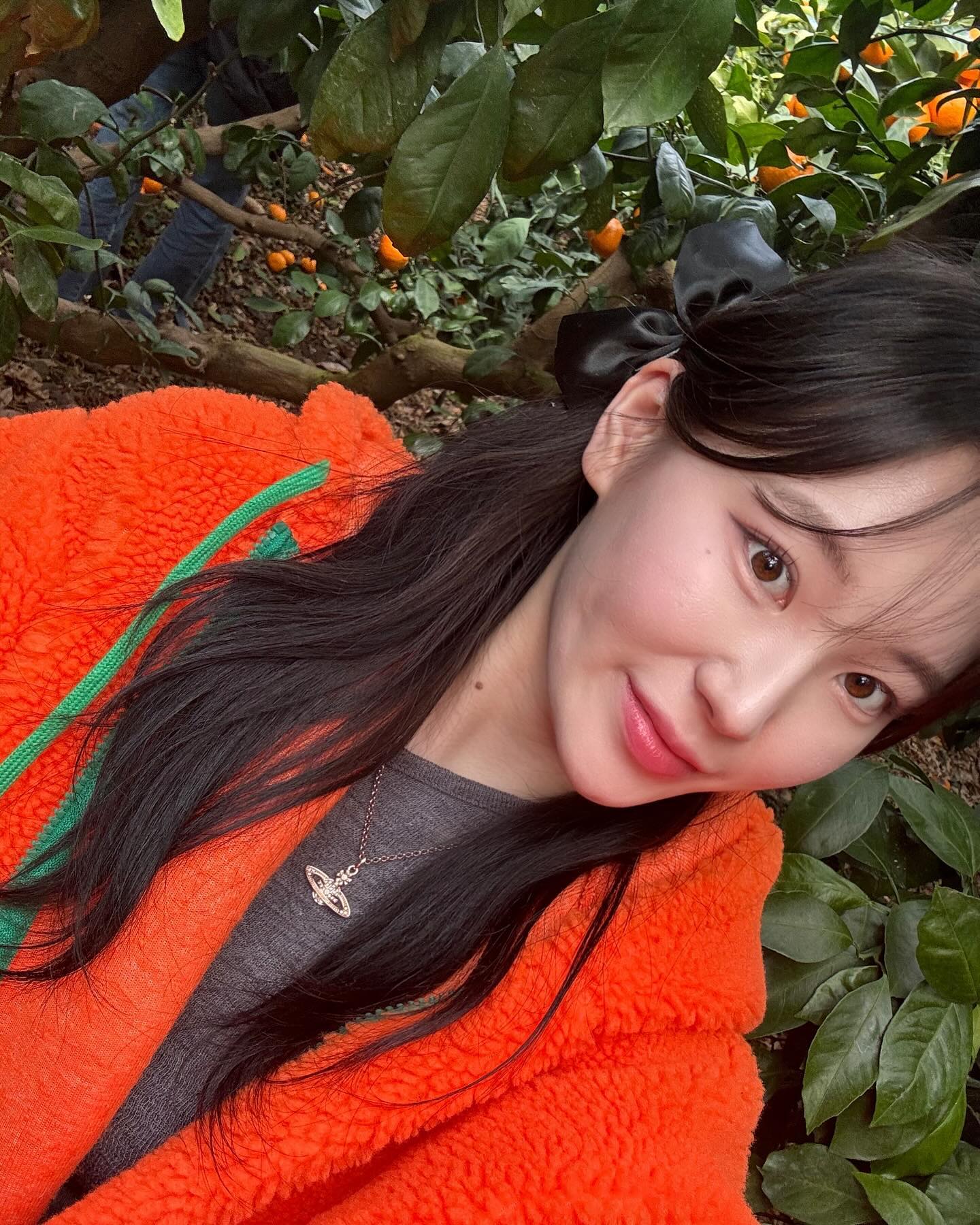 🍊🌺