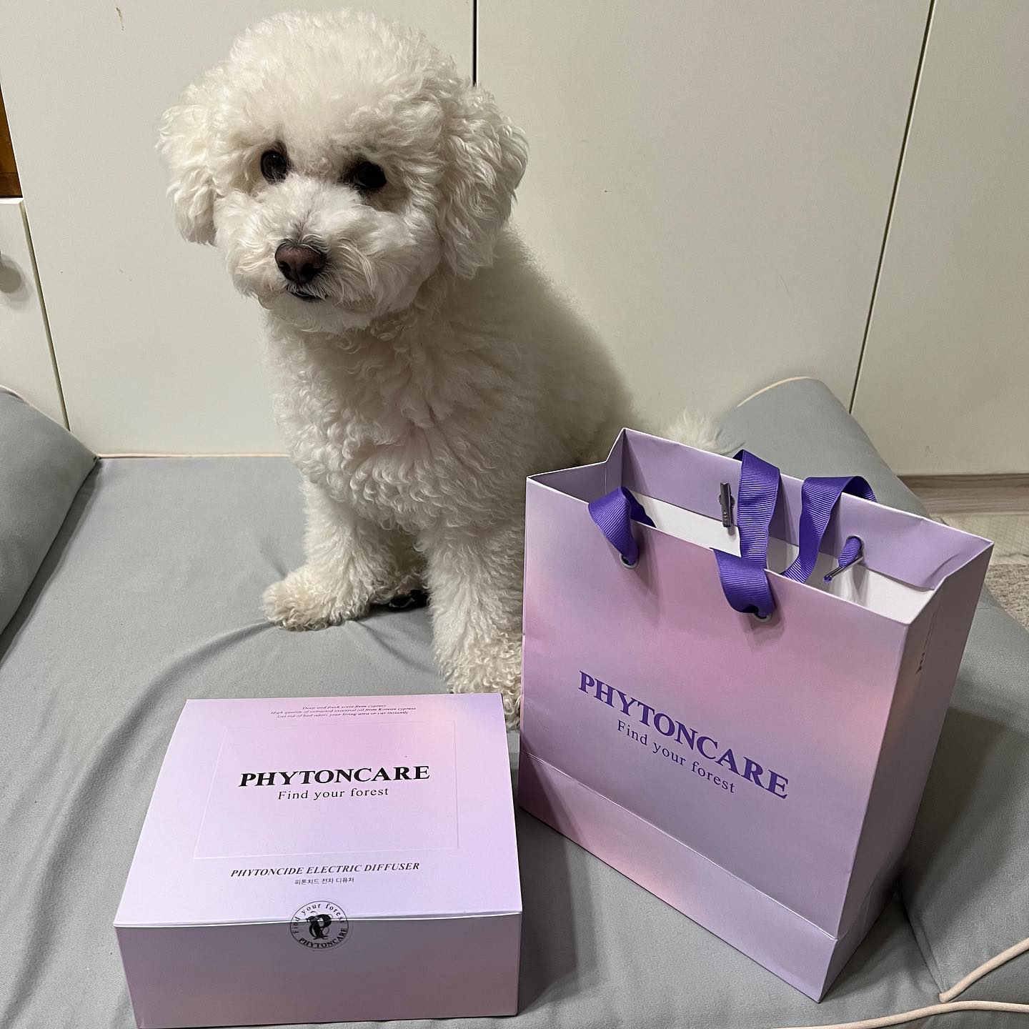 #광고

발향이 너무 잘됨!
향도 상쾌 ㅠㅠ
발향세기도 조절가능해서 좋고
강(보라보라) 약(화이트) 직관적!
카트리지 하나당 60일 정도 사용가능한데교체주기가 되면 led빨간불로 알랴줌!!
너무 편할듯!!

#피톤케어
#차량용방향제
#국민차량용방향제
#JW생활건강
#피톤케어차량용방향제
#자동차방향제
#자동차디퓨저
#아빠선물
#남친선물
#새차선물
#피톤치드
#새집선물
#천연오일

#비숑프리제 #밥풀이그램🐾 #비숑밥풀이🍚 #내곰돌이 #bichon #bichonfrise #petstagram #dogstagram #개스타그램 #일상💕 #소통🙆 #선팔맞팔환영🙌 #극한견주 #밥풀이견주의삶 #우리집막냉이🐶