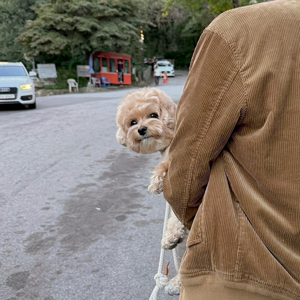 가을이 최고야 🪵🍂