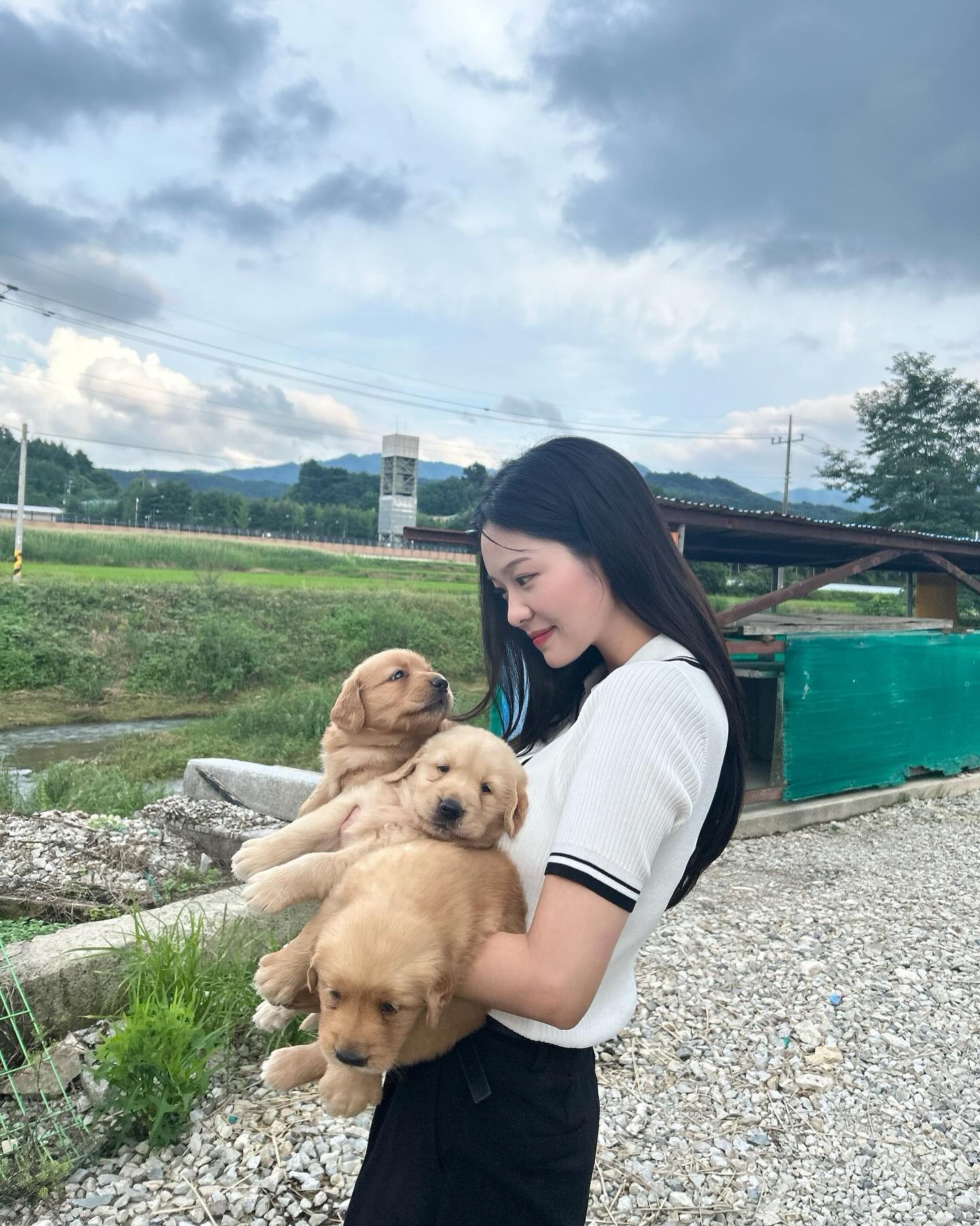 울 집 댕댕이는 아니지만 초코랑 모음집🐶🤎