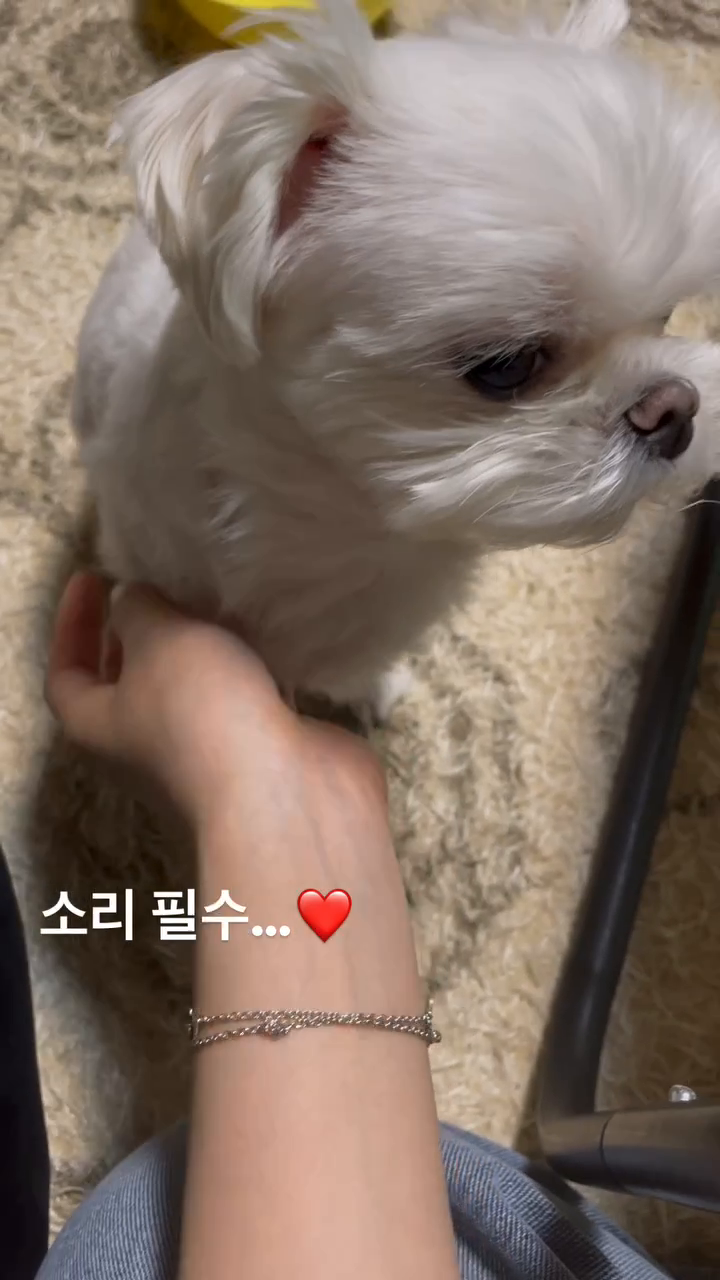 만져주면 골골송..

#마로의순간