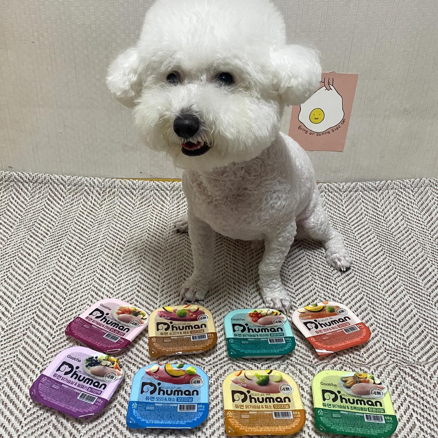 포차코 x 듀먼 이벤트 덕분에 먹어본 듀먼 자연화식 50g 8팩!

알러지때문에 알러지 사료만 먹고 있던 오찌는 듀먼 화식보고 눈 뒤집어져따구우 🤪

오늘 같이 비오고 꿀꿀한 날엔 듀먼 화식 먹으며 힐링하기 딱! 죠차나 ʚ♥ɞ 

포차코야~~ 죠은 기회 줘서 고마워^.^

dhuman_happy 
pochaacccoo 
#듀먼 #듀먼화식 #강아지화식)