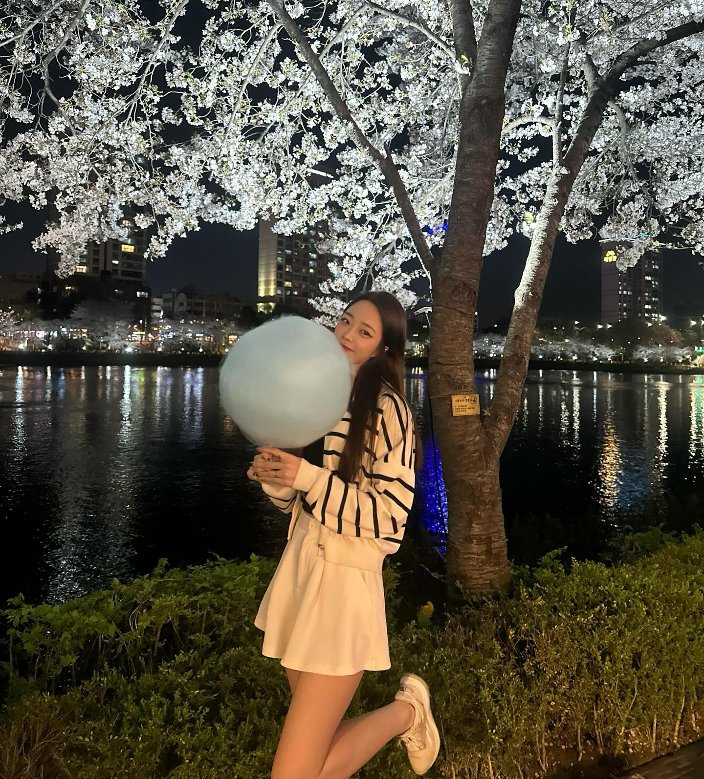 -
올해도 #벚꽃보기성공 🌸💖