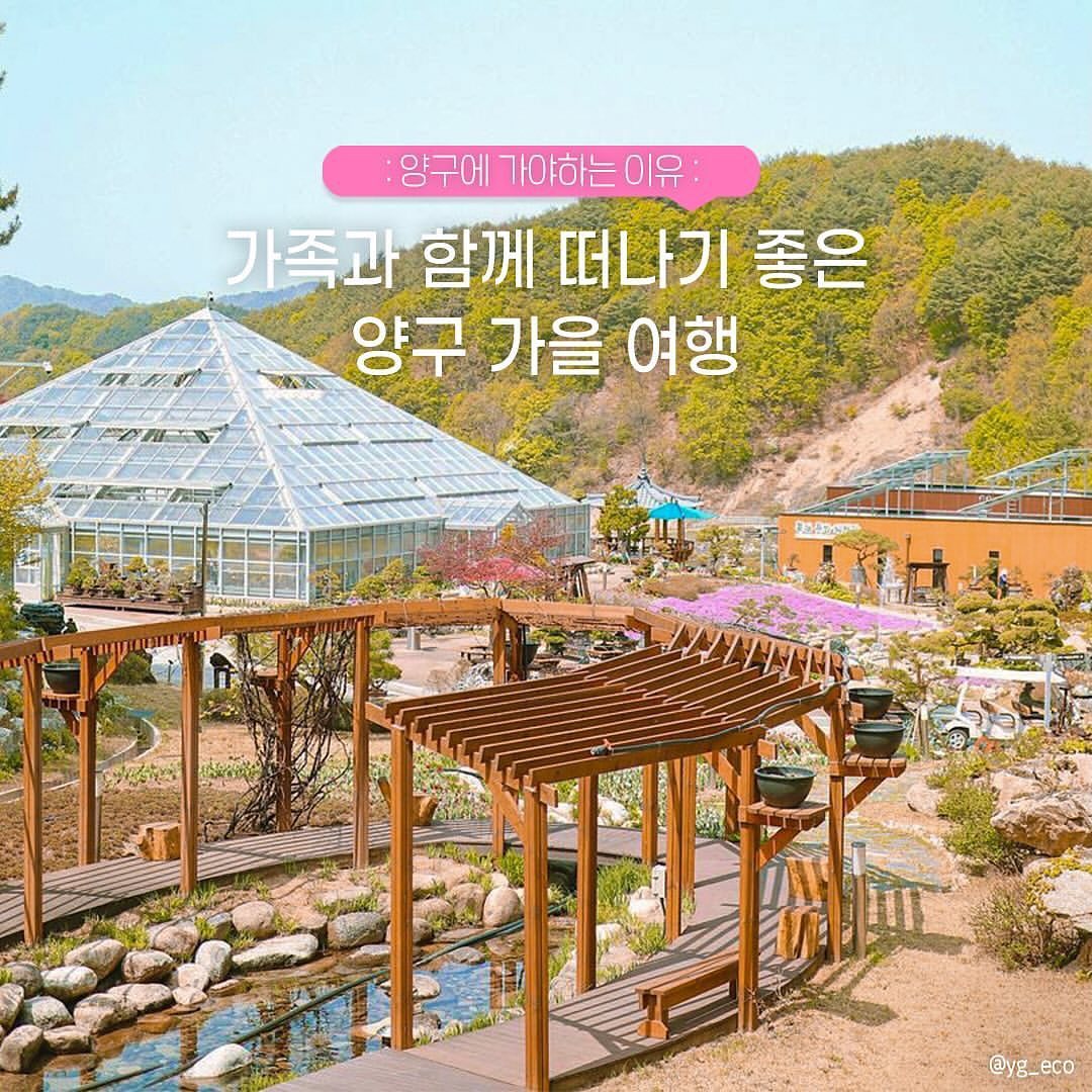#광고

가족과 함께 떠나기 좋은
양구 가을 여행💗

1️⃣#한반도섬
: 강원 양구군 양구읍 한반도섬길 76 :
한반도의 배꼽이라고 불리는 양구에 있는 작은 한반도!
여유롭게 산책하면서 힐링하기 너무 좋아요!

2️⃣#파로호꽃섬
: 강원 양구군 양구읍 하리 570-1 :
오색빛깔로 아름다움을 뽐내는 꽃섬!
막 찍어도 인생샷을 건질 수 있는 곳이에요📸

3️⃣#두타연
: 강원 양구군 방산면 두타연로 297 : 
민간인 통제구역으로 오염되지 않은 자연 그대로! 미지의 세계!
알록달록 물든 단풍을 보면서 트레킹하기 좋은 곳🍁

4️⃣#광치자연휴양림
: 강원 양국군 국토정중앙면 가오작리 산1-1 :
강원도 최북단 대암산 자락에 위치한 광치자연휴양림!
가을에는 아름답게 물든 단풍 구경하러 가보는 것을 추천해요!🍂

5️⃣#양구수목원
: 강원 양구군 동면 숨골로310번길 131 :
자연과 가까운 수목원!
아이들과 함께 나들이 가기 너무 좋아요👍

6️⃣#박수근미술관
: 강원 양구군 양구읍 박수근로 265-15 박수근미술관 :
다양한 작가들의 기획 전시가 이루어지는 곳!🖼️
그림부터 비디오아트까지! 볼거리 천국

7️⃣#양구백자박물관
: 강원 양구군 방산면 평화로 5182 :
양구 백자의 맥을 잇기 위해 건립된 박물관!
다양한 백자들 앞에서 인증샷 한-컷!

8️⃣#국토정중앙천문대
: 강원 양구군 국토정중앙면 국토정중앙로 127 : 
우리나라 중심에서 밤하늘의 수많은 별들을 만날 수 있는 곳!🌠
별과 관련된 다양한 프로그램들이 있어 아이들과 오기 너무 좋아요~

9️⃣#팔랑골캠핑장
: 강원 양구군 동면 바랑길 34-94 : 
자연 속 힐링 공간으로! 가을 캠핑은 낭만 그 자체~
선선해진 요즘! 아이들과 함께 떠나보세요 :)
.
.
#양구여행 #양구여행지 #양구여행코스 #양구핫플 #양구여행추천 #양구 #양구군 #강원도 #강원도여행지추천 #양구가볼만한곳 #강원도여행 #양구여행지 #양구여행추천 #강원여행지추천 #국내여행 #국내여행지 #대한민국구석구석