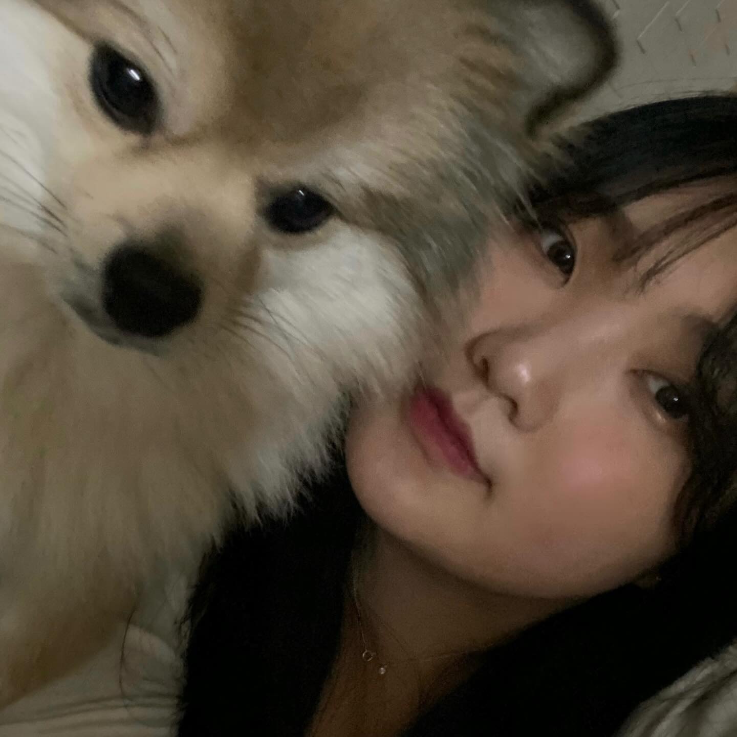 •̀.̫•́
