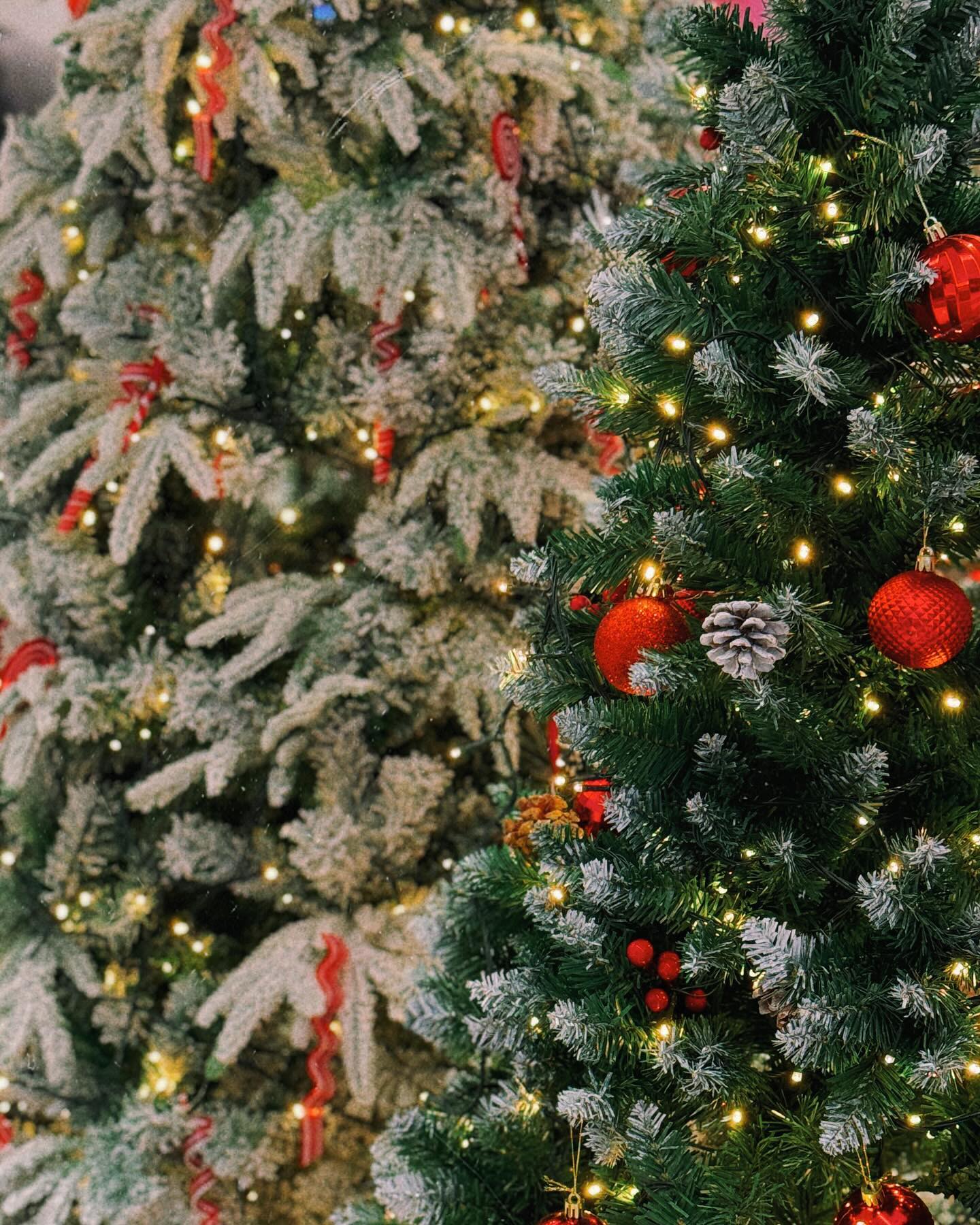 #merrychristmas #🎄#🎅