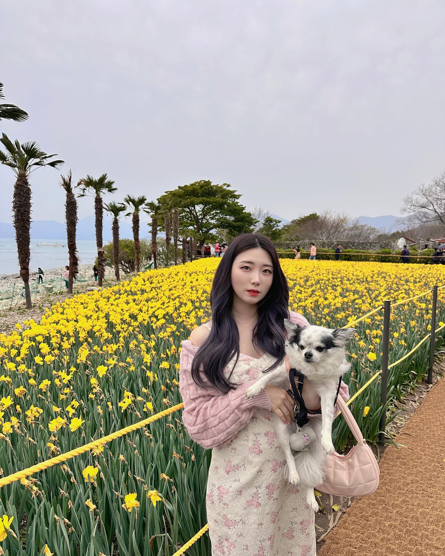 거제도 여행 때 갔었던 공곶이 수선화 축제🔆🌼

.
.
#거제도 #거제도여행 #공곶이 #수선화축제 #여행스타그램 #셀카 #셀피 #셀스타그램 #얼스타그램 #애견동반여행 #여행기록 #국내여행코스 #거제도가볼만한곳 #유기방가옥 #사진계정소통 #photooftheday #photographylovers #flowers