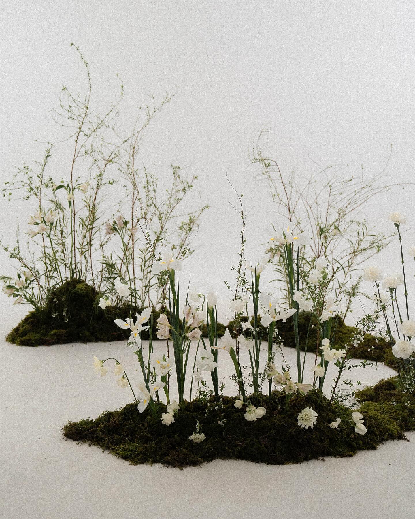 정말 잊을 수 없던 날. 열심히 진심을 담아 사랑을 담아야지. (🤍) fromsuum 
⠀
블루밍앨리스 , 프롬미노 사랑합니다 !
