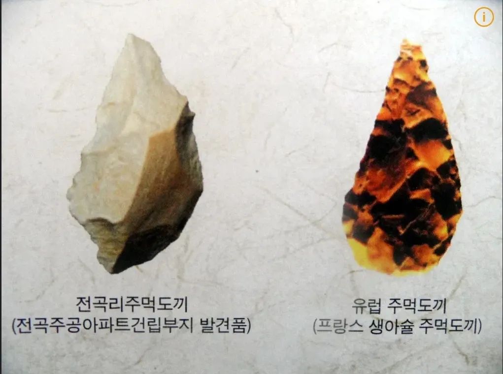 주먹도끼3ㅡ한반도의 주먹도끼

경도가 높고 입자가 거친 변성암 계통 암석들이 많은 지역에서는 아슐리안 형 뗀석기를 만들기 어렵기 때문에 그나마 만들기 쉬운 찍개형 뗀석기들이 훨씬 더 흔하다. 이 때문에 상당히 오랫동안 아슐리안 형 석기가 히말라야 너머에서 잘 발견되지 않았고, 한반도에서는 아예 발견되지 못했었다.
그런데 1978년, 주한미군 공군 기상 관측병이자 고고학도였던 '그렉 보웬'이 우연히 경기도 연천군에서 한국인 여자친구 이상미와 한탄강을 산책하던 중, 이상미씨가 특이한 모양의 돌을 하나 발견하여 조사한 결과, 그것이 바로 유럽이나 아프리카에서 발견되는 주먹도끼와 유사한 구석기였음이 밝혀졌다.
이 발견으로 인해 이미 타당성을 의심받고 있던 모비우스 학설은 완전 폐기되었다. 에렉투스 시절에도 인간은 생각보다 훨씬 험준한 지형을 잘만 뚫고 교류했고, 사람 생각하는 것이 어딜 가든 다 비슷해서 뗀석기들이 결국 아슐리안 형 뗀석기로 수렴하는 것은 당연한 이치였다.
현재 연천 전곡리 유적에서 발견된 주먹도끼는 몇 십만년까지 올라가는 수준으로 연대가 측정되지는 않지만, 한반도에 현생 인류인 호모 사피엔스가 거주하기 이전에 독자적으로 개발된 고유한 석기인 것은 분명하다. 

#역사를잊은민족에게미래는없다 #나무위키 #구석기시대 #주먹도끼 #한반도 #좋아요