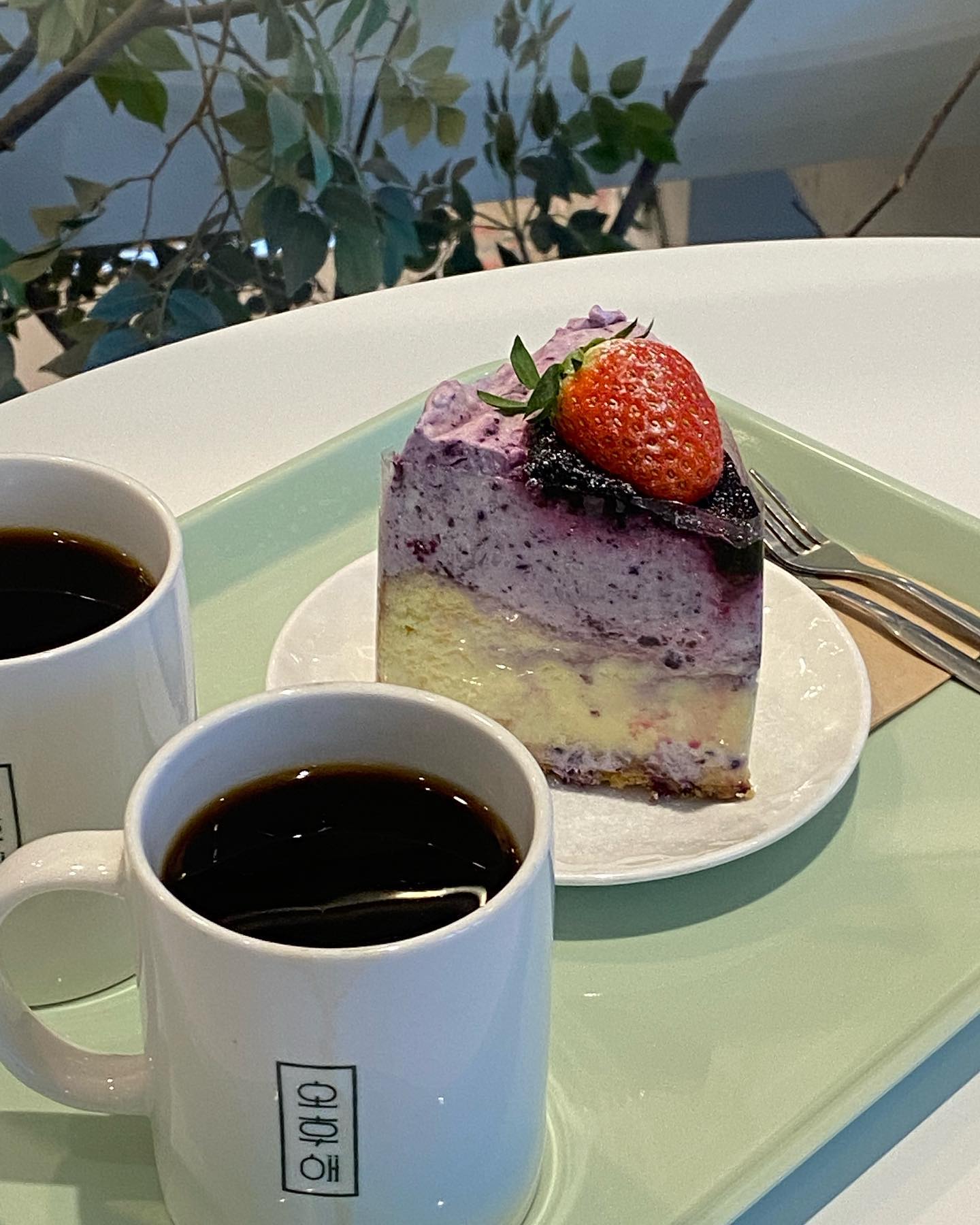 📍#영일대 #오후애

몇번이고 재재재재재재방문하는 카페..
이유는 단하나 케이크가 맛있음🍰❤️
오후애 케이크만 10종류 이상 먹어보았읍니다
생크림케이크보단 #치즈케이크 종류 진짜 맛있사와요
커피맛은 쏘쏘하고 비싼데 케쿠먹기위한 투자.. 머그런거..

#블루베리치즈케이크 8,000
케이크반 블베크림반
요새 카페케이크들 한조각에 7-8천원하면서 디따 쪼꼬마한데,
오후애는 비싼만큼 크기도 큽니다!! 💜 2인1케 가능

☕️아메리카노 5,500
🚘주차장 넓음
🐶애견동반가능
❎월요일 휴무

#포항카페 #영일대카페 #영일대맛집 #포항케이크 #영일대맛집 #포항카페추천 #포항디저트카페 #포항여행 #영일대핫플 #포항애견동반카페 #영일대애견동반