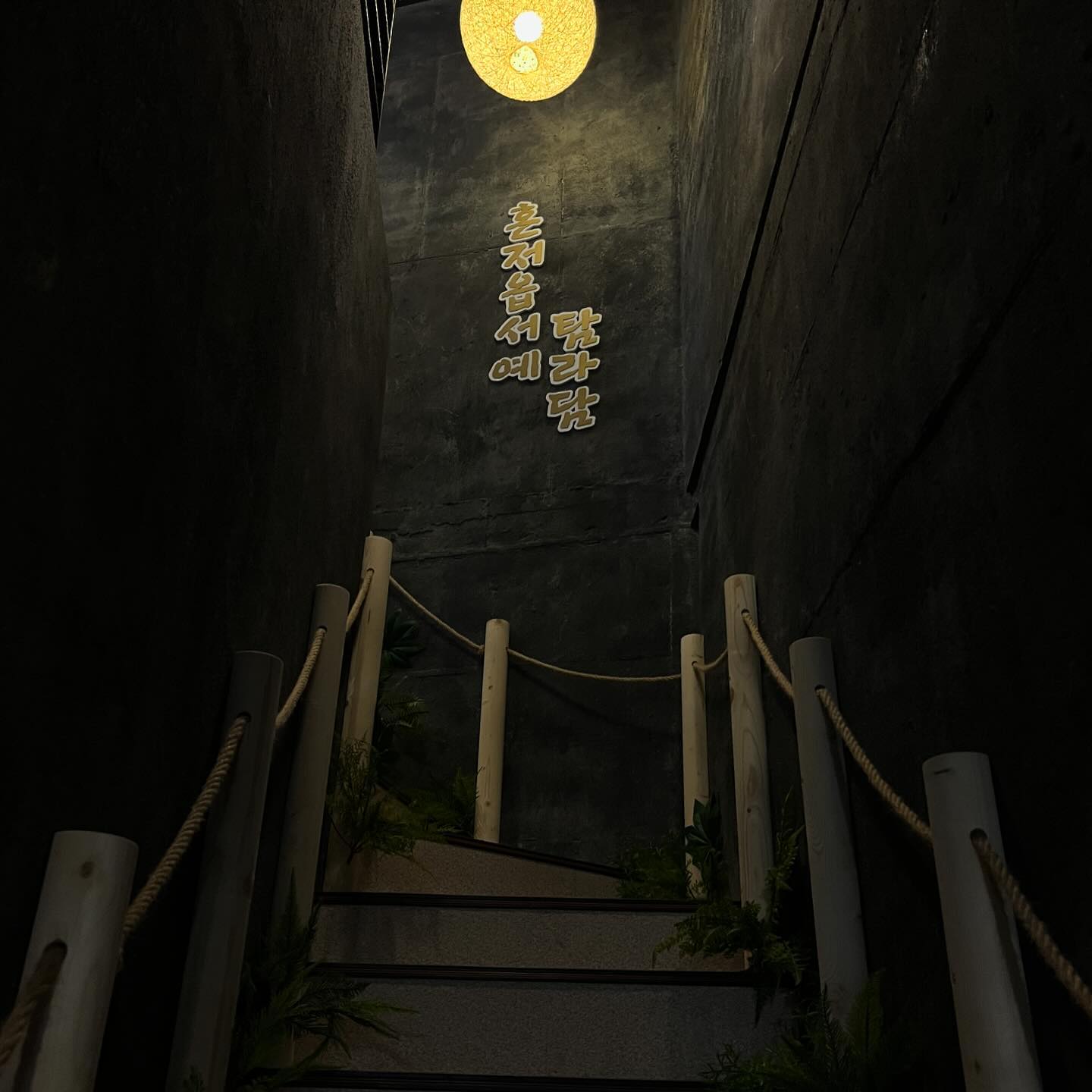 내 짝꿍 데리구 수원에 제주감성 뿜뿜인곳 가기,,
탐라담의 여덟번째 제주이야기 오름의 여왕
제주 다랑쉬오름 컨셉인 고깃집,,🫧
기본 찬 갓 장아찌, 청포묵, 명란젓 다 맛있었규 
전복, 새우만두, 각종 채소가 들어간 탐라탕두 맛났당
고기 구워주시구 맛있게 먹는 방법두 알려주시구 편하게 먹구왔댜 ღ 
영지니랑 둘이 와 맛있다 반복,,
제주 토마호크 하루에 20명만 먹을 수 있는데
진짜 넘나 맛있어서 오겹살두 시켜무금,, ღ 
돌하르방이랑 투컷 못찍은게 아숩,,
진짜 맛있는 집 찾아따 ,,♥ 
.
#협찬 #수원역탐라담 #수원역고깃집 #수원역맛집 #탐라담수원역점 #탐라담 
#수원맛집