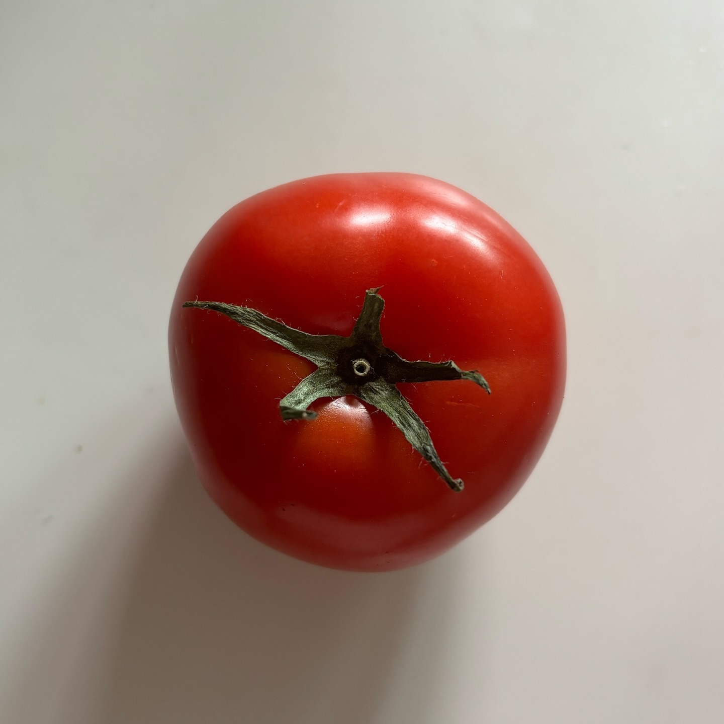 세상이 아주 핑크퐁?