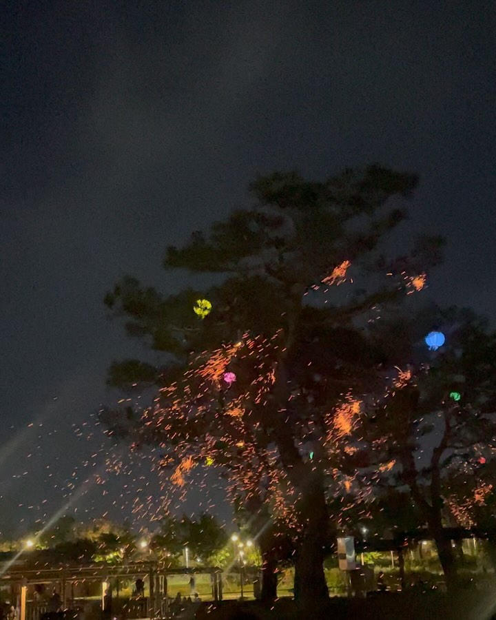 삼겹살 먹다가 첫니 빠지고 
낙화축제 다녀온날 귀여워 잘자라 아가들
내일만나자 내일도 각자 자리에서 화이팅