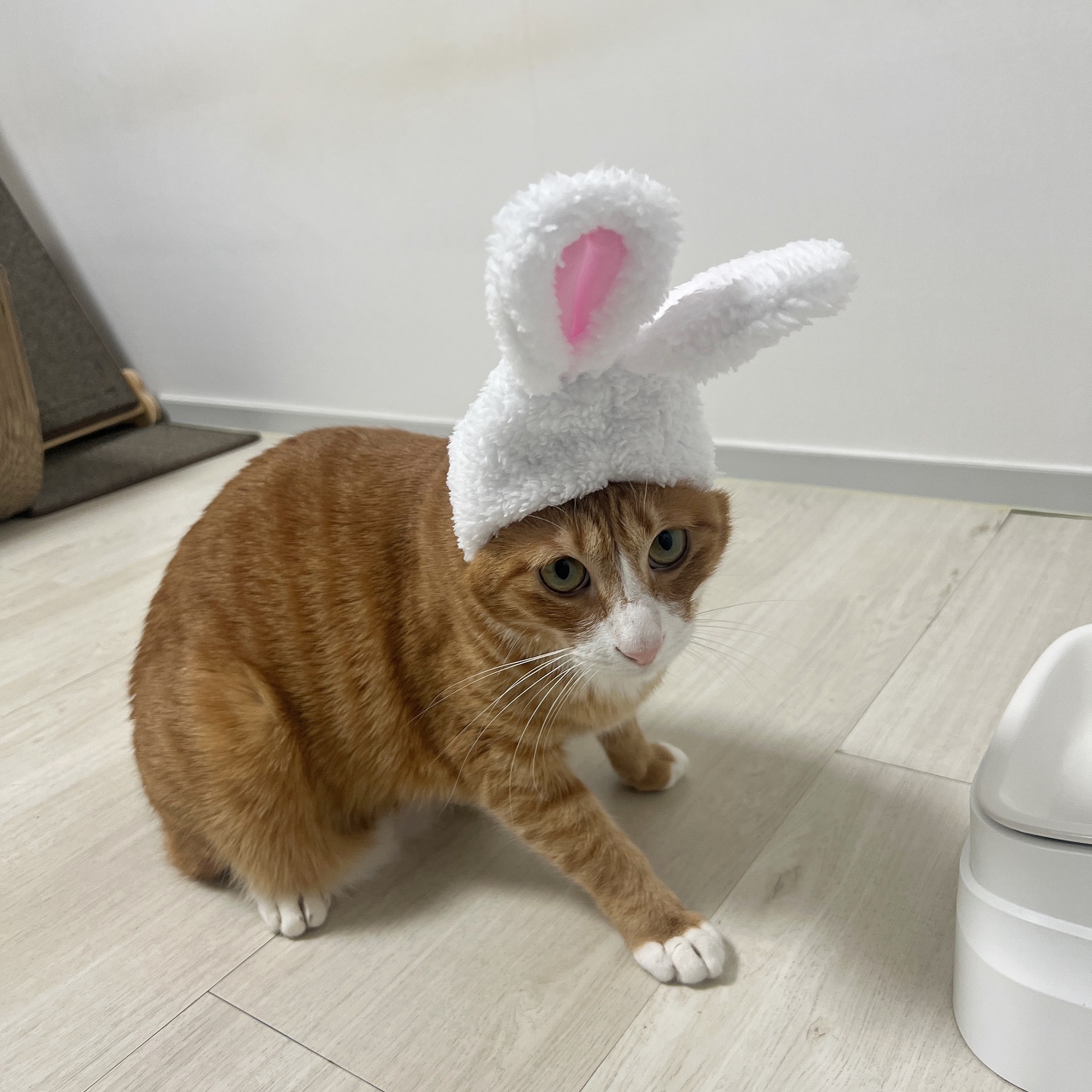 웃지말고 벗겨라