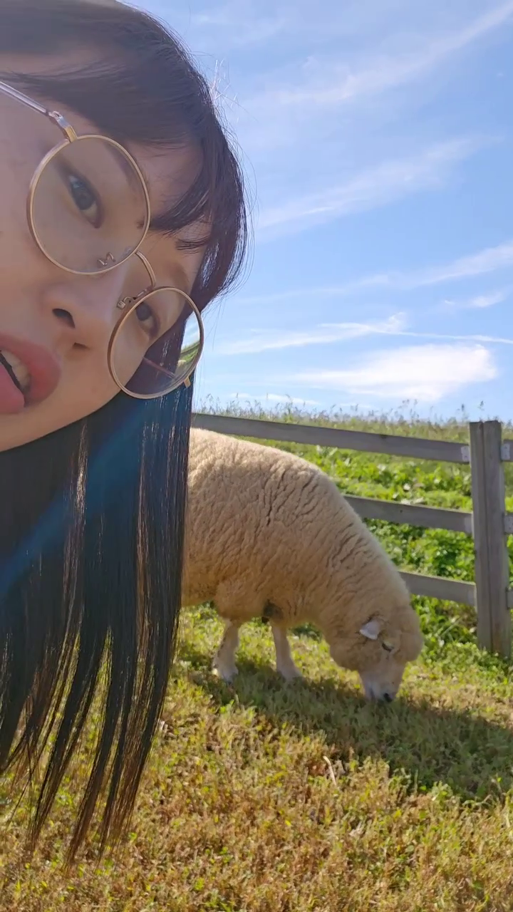 양 풀 뜯어먹는 소리하고 있네 🐑
중간에 큰 울음소리는 짝꿍 목소리..^^;