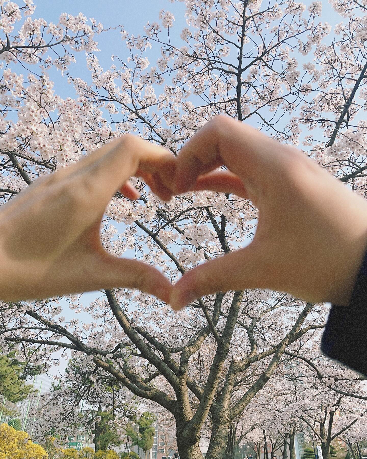 기록용
기억에 남았던 날들