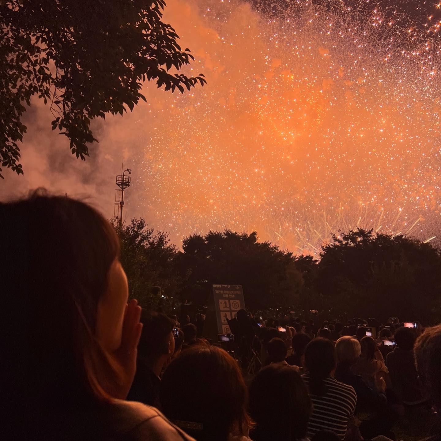 너무 예뻤던 불꽃축제 🎇