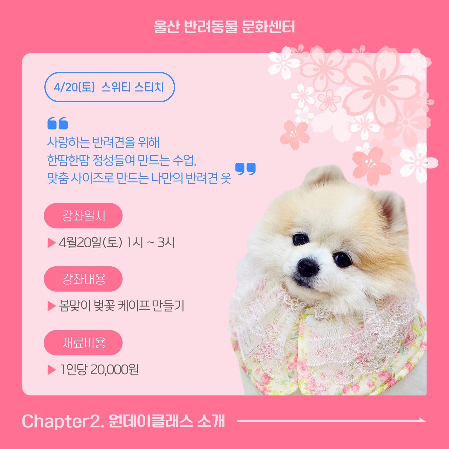 안녕하세요!😊 오늘부터 정상적으로 운영됩니당!
스위티 스티치가 좋은기회로 4.20일에 울산 애니언파크(반려동물 문화센터)에서 케이프만들기 수업을 진행하게 되었어요🫶
이번 수업은 봄과 벚꽃에 어울리는 레이스가 들어간 
🌸벚꽃 케이프 🌸만들기 수업을 진행합니당!! 
많이들 놀러오셔서 강아지랑 산책도하고, 옷도 만들어가세용! 소형견부터 대형견 까지 가능한 수업입니다💓🌷

#스위티스티치 #울산애니언파크 #강아지케이프 #울산강아지옷만들기 #울산톡톡스트리트 #울산원데이클래스