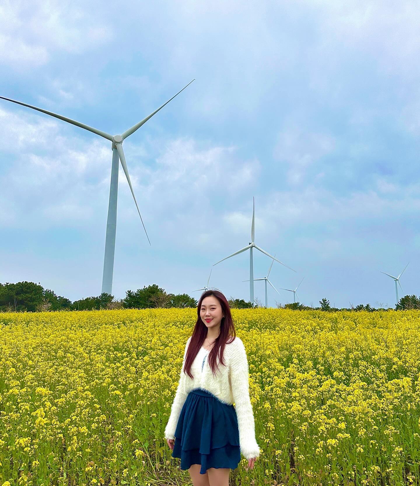 봄 제주🌼💛