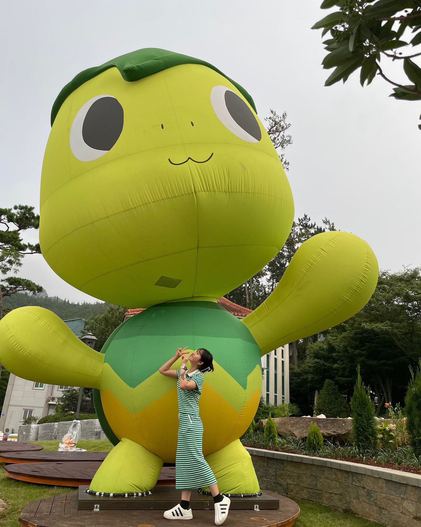 퇴근하는데 거북이가 보였다🐢