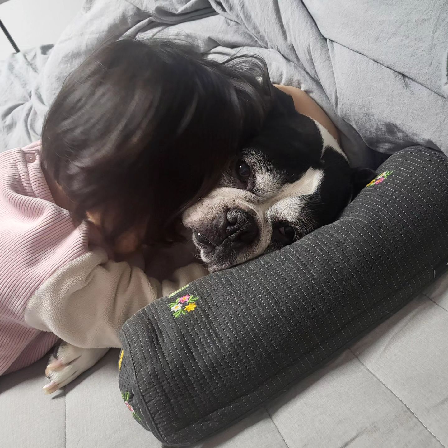 ♥ han ha rang ♥ + 1204
👼🏻🐶💛
.
.
.
#쥐띠맘 #쥐띠아기🐭 #쥐띠맘소통 #20년생 #20년생아기 #쥐띠아기 #애개육아 #애개육아맘 #강아지랑아기🐶👶 #하랑 #한하랑👼🏻 #하랑하랑해👼🏻 #보스턴테리어 #쥐띠딸 #딸랑구💕 #딸스타그램 #아기스타그램 #애기스타그램 #선팔하면맞팔 #육아스타그램 #육아일상 #육아소통 #육아일기 #육아소통맞팔