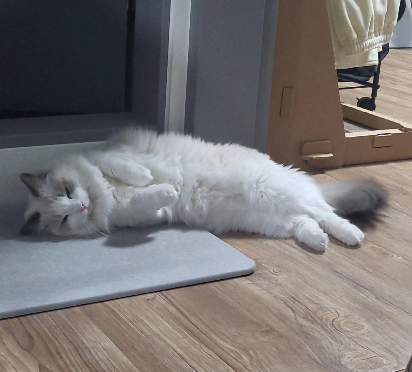 #새우튀김