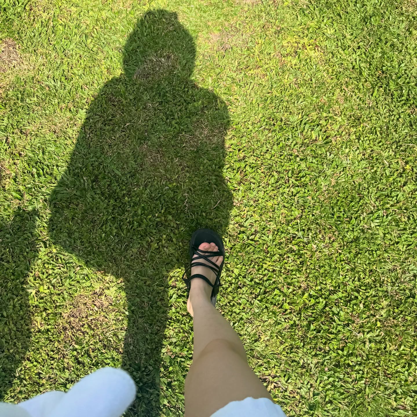 아직도 나트랑 못 벗어나는 중
부산 너무춥자나.. 🧣☁️🧤🥶