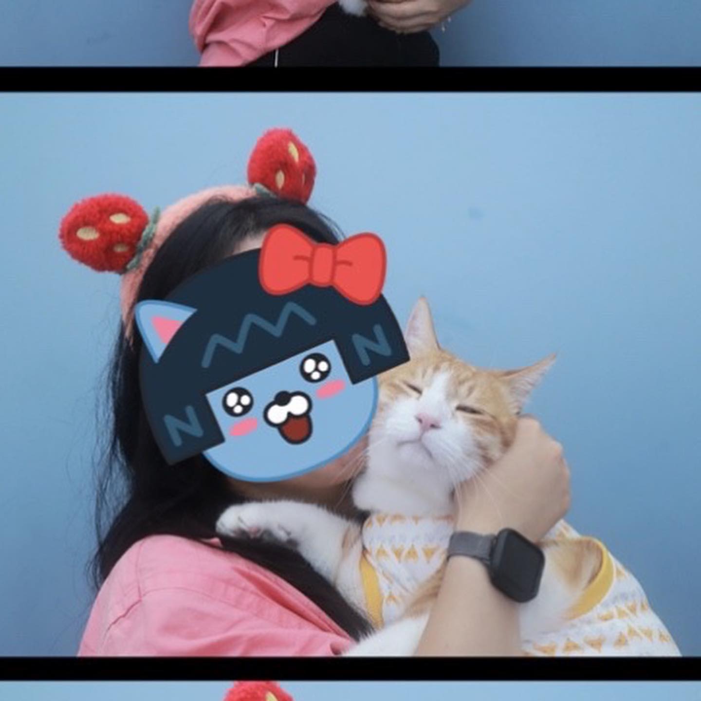 콘텐츠