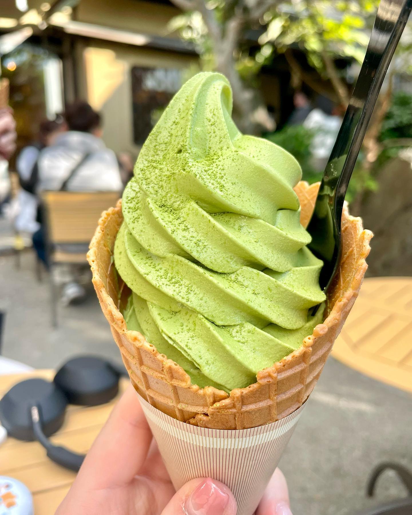 콘텐츠