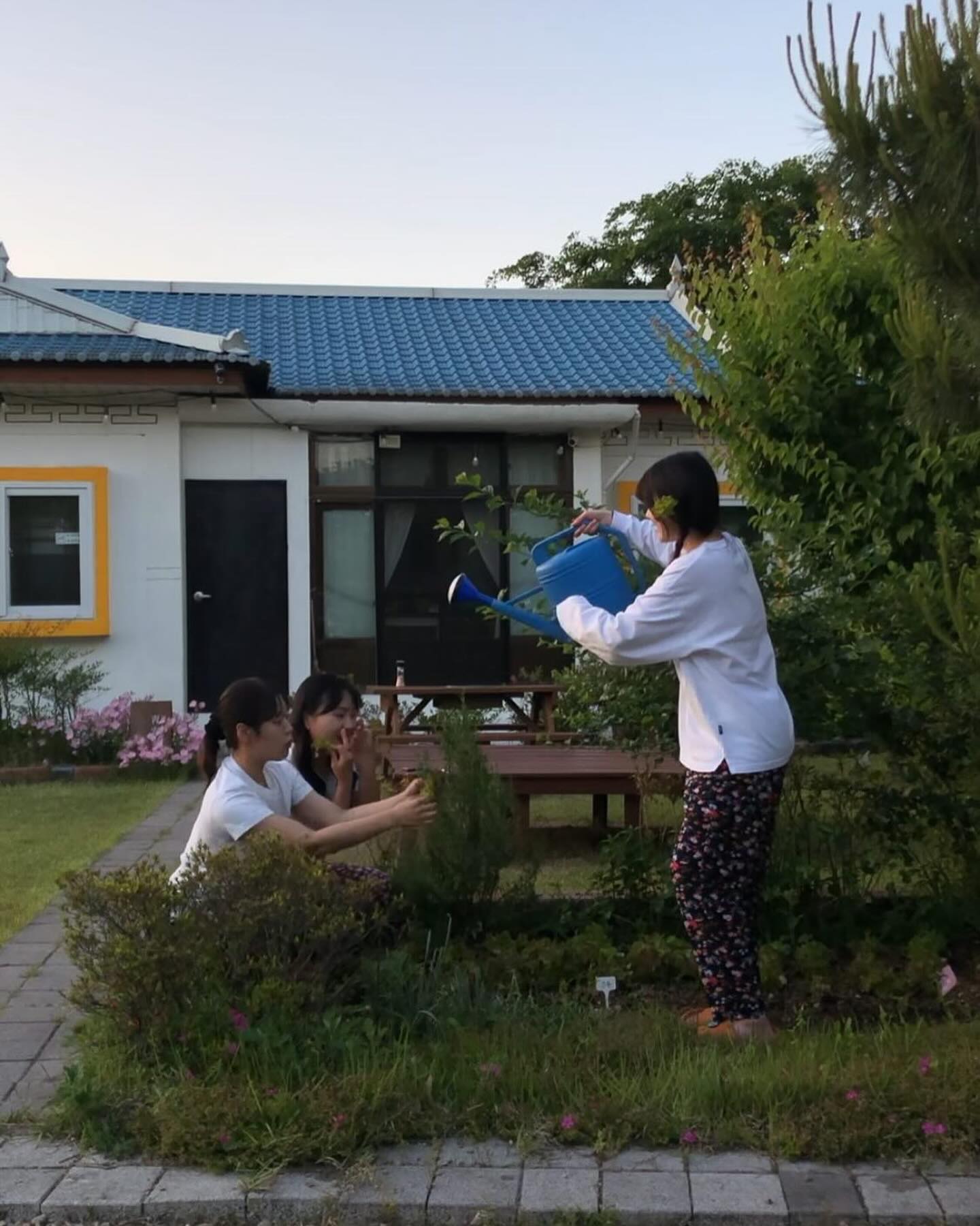 그리고 꾹꾹 눌러 담은 금달래 😗💛