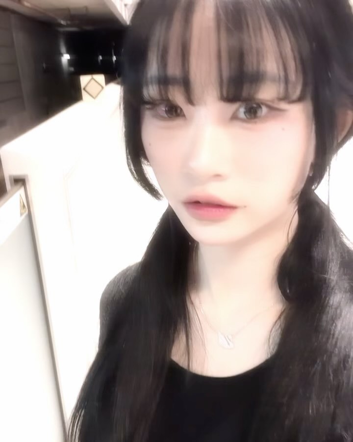 빨리빨리 はやく!!