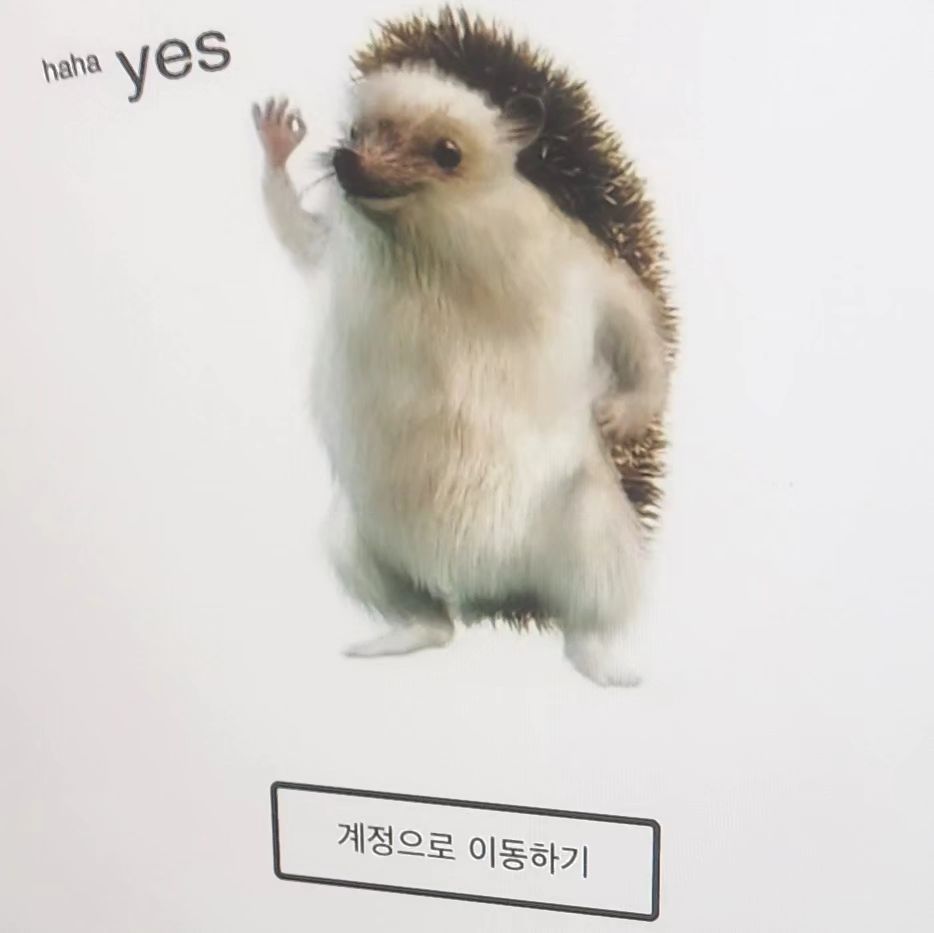 시승 도와주신
어드바이저 분이 이거 찍어야된다고 하셔서..