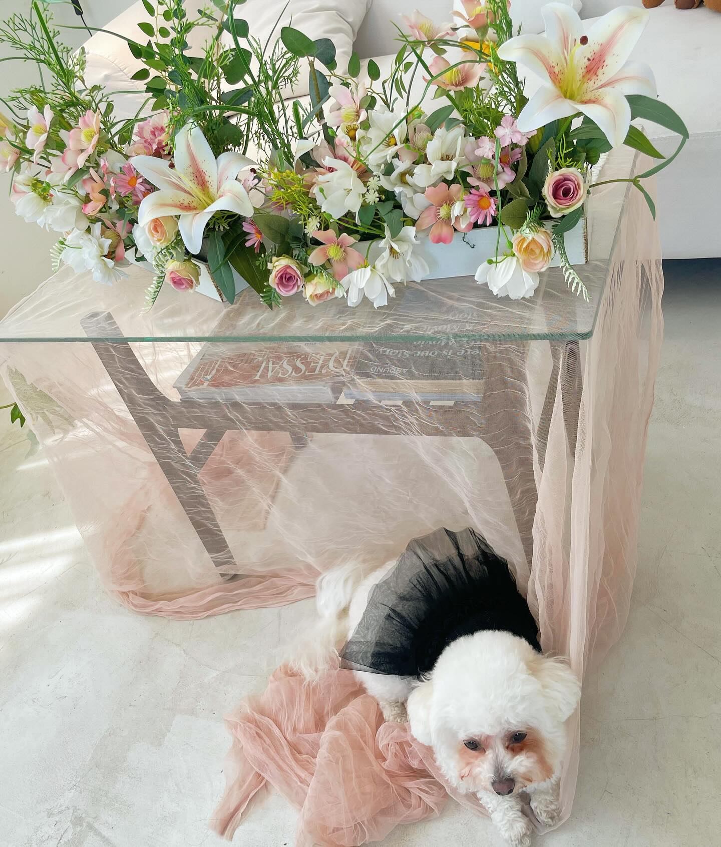 🌸