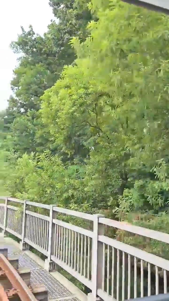 #의왕레일바이크 #의왕가볼만한곳 

다들 주말 잘 보내고 계시나요~??

오늘은 놀러 가고 싶은 날
당일치기로 다녀오기 좋은 곳 
소개해 드릴게요🤗

다양한 레일바이크를 타봤지만
고요한 왕송호수와 풀숲에 둘러싸여서

생각보다 더 힐링했었던 #의왕레일바이크🚜

요즘엔 더워서 이용하기 어렵겠지만
선선할 때 다녀오세용~❣