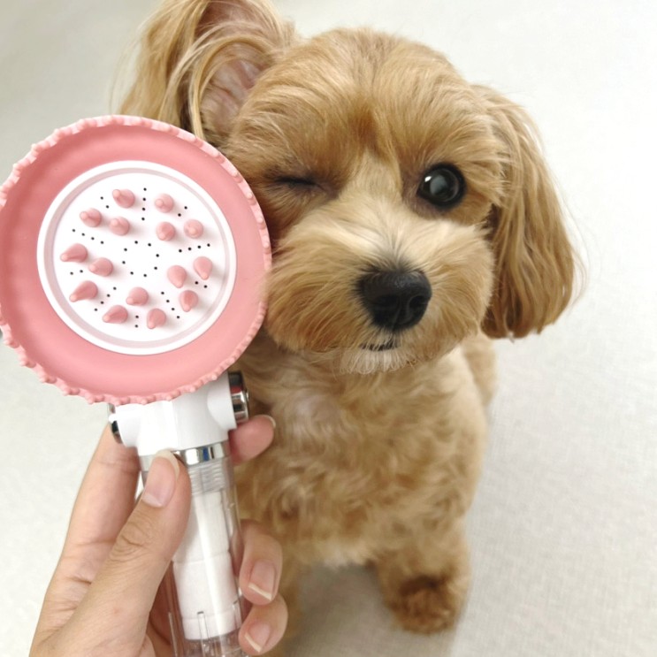 강아지샤워기 추천 필터교체가 가능한 닥터워터 펫샤워기