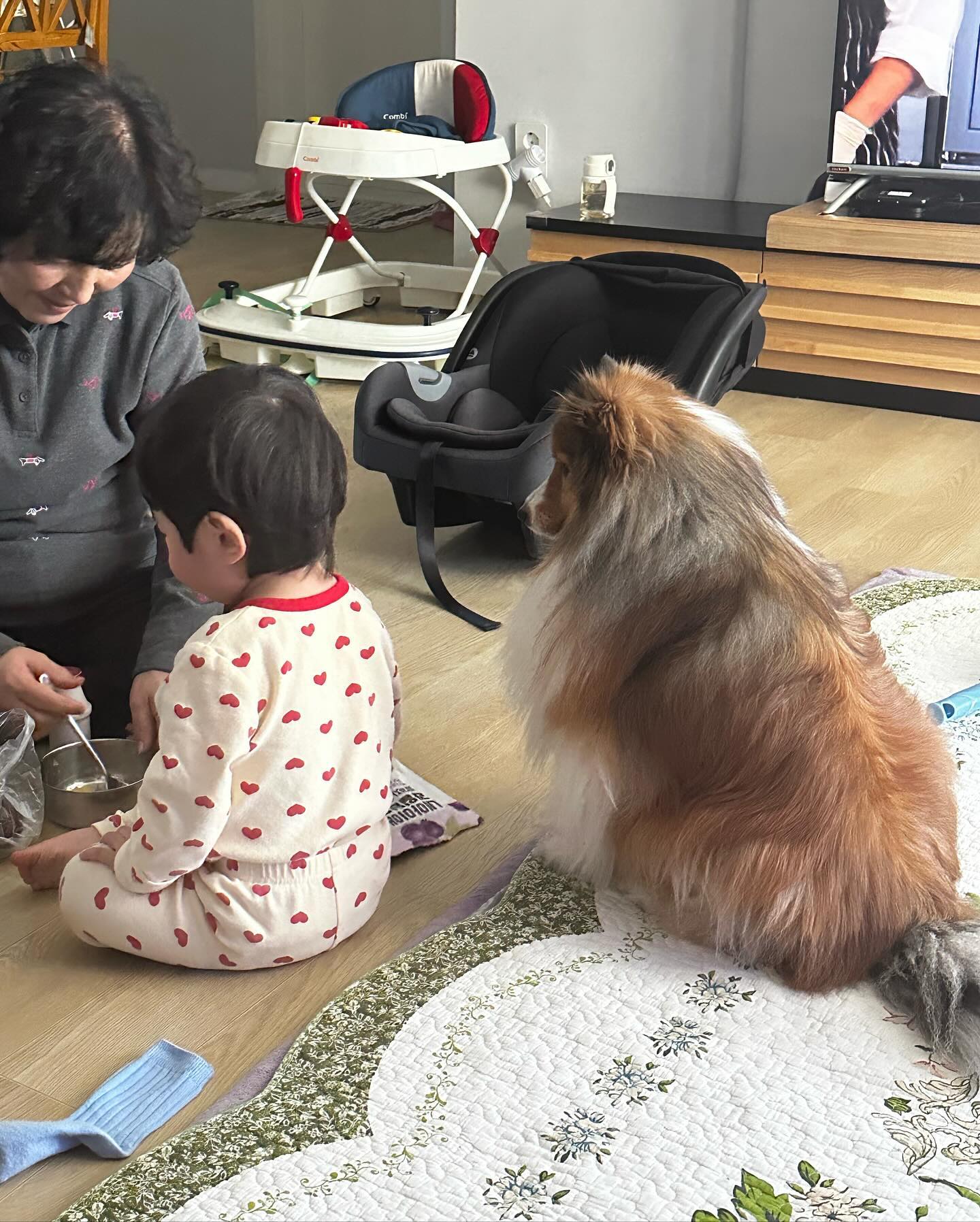담양나드리~✨
온가족 다같이 놀러나오는 건 처음이었는데
매운맛 딸랑구는 아직 밖에 놀러나오고 싶지 않은가 보다…
그래도 지원이랑 리치 신나게 놀았으면 된거지🫠
#담양 #담양파인드업 #담양애견동반카페 #주말