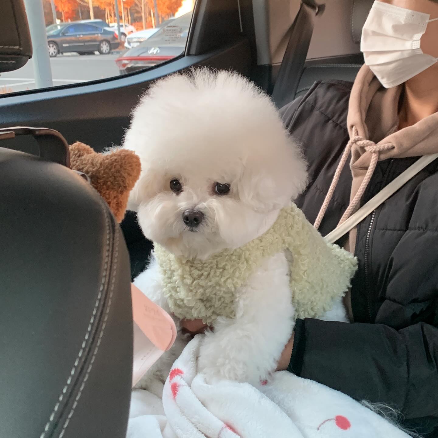 옷 입혔다고 불만 가득 강아지 🤢